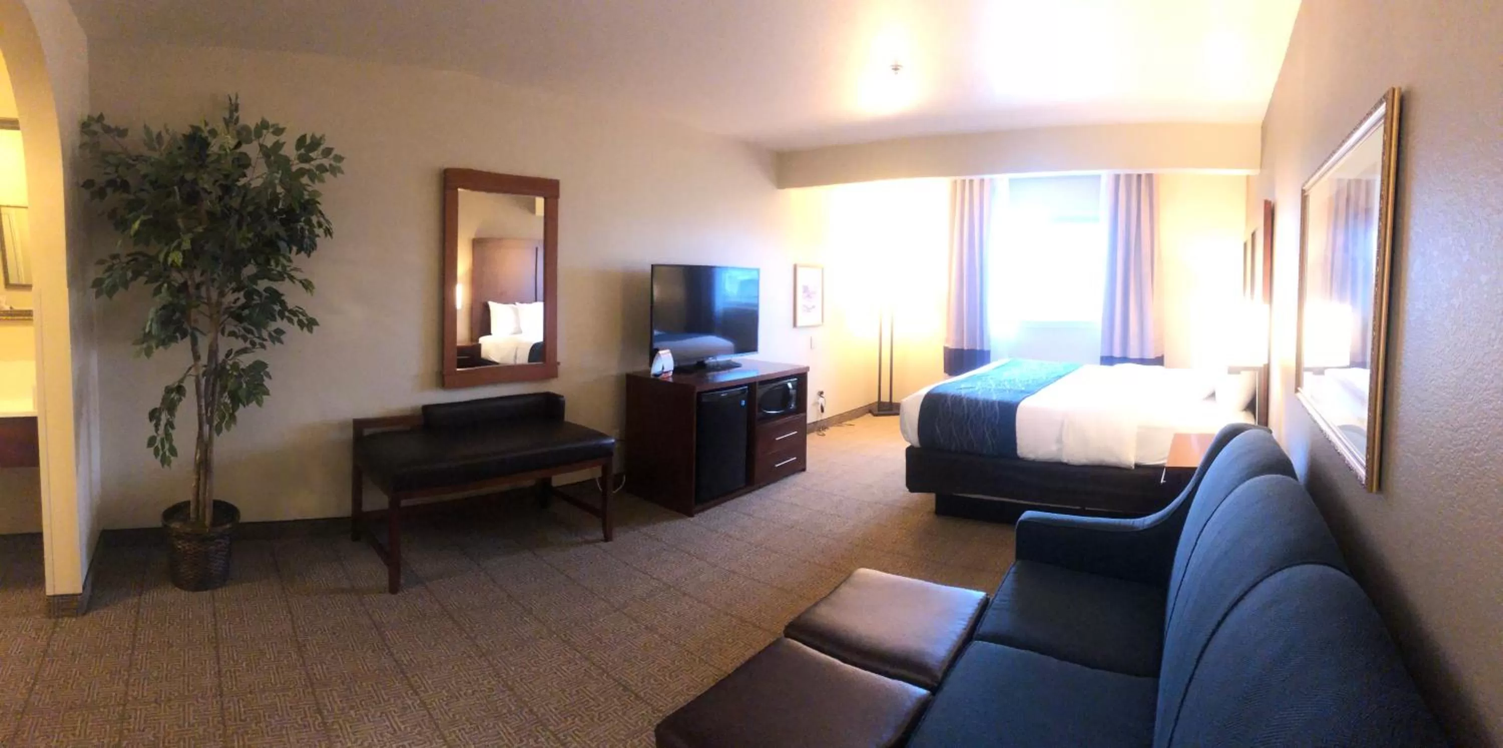 Photo of the whole room in Comfort Inn & Suites Ukiah Mendocino County