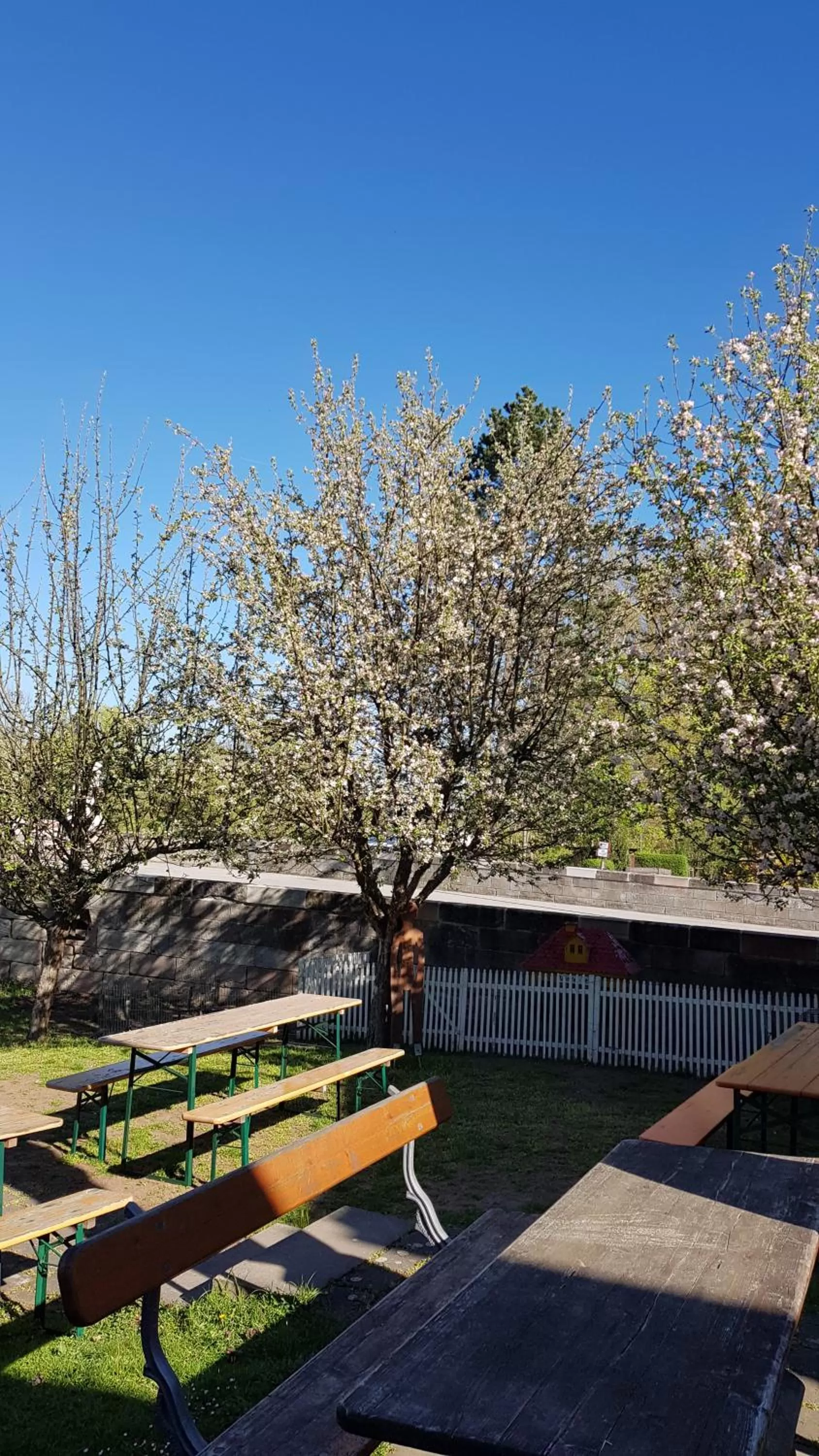 Balcony/Terrace in Hotel und Gasthof Ritter St. Georg
