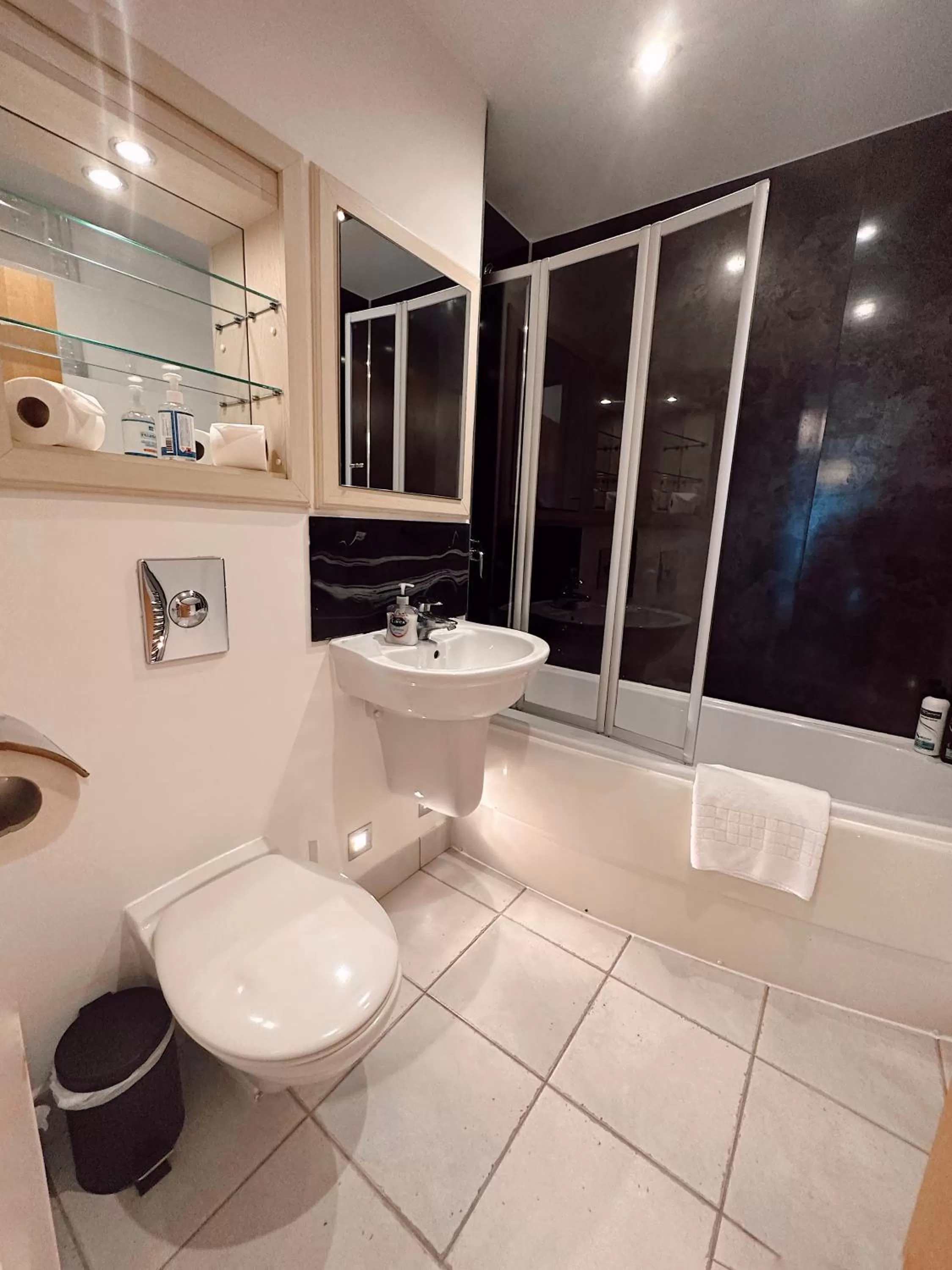 Toilet in Canary Wharf - Luxury Apartments