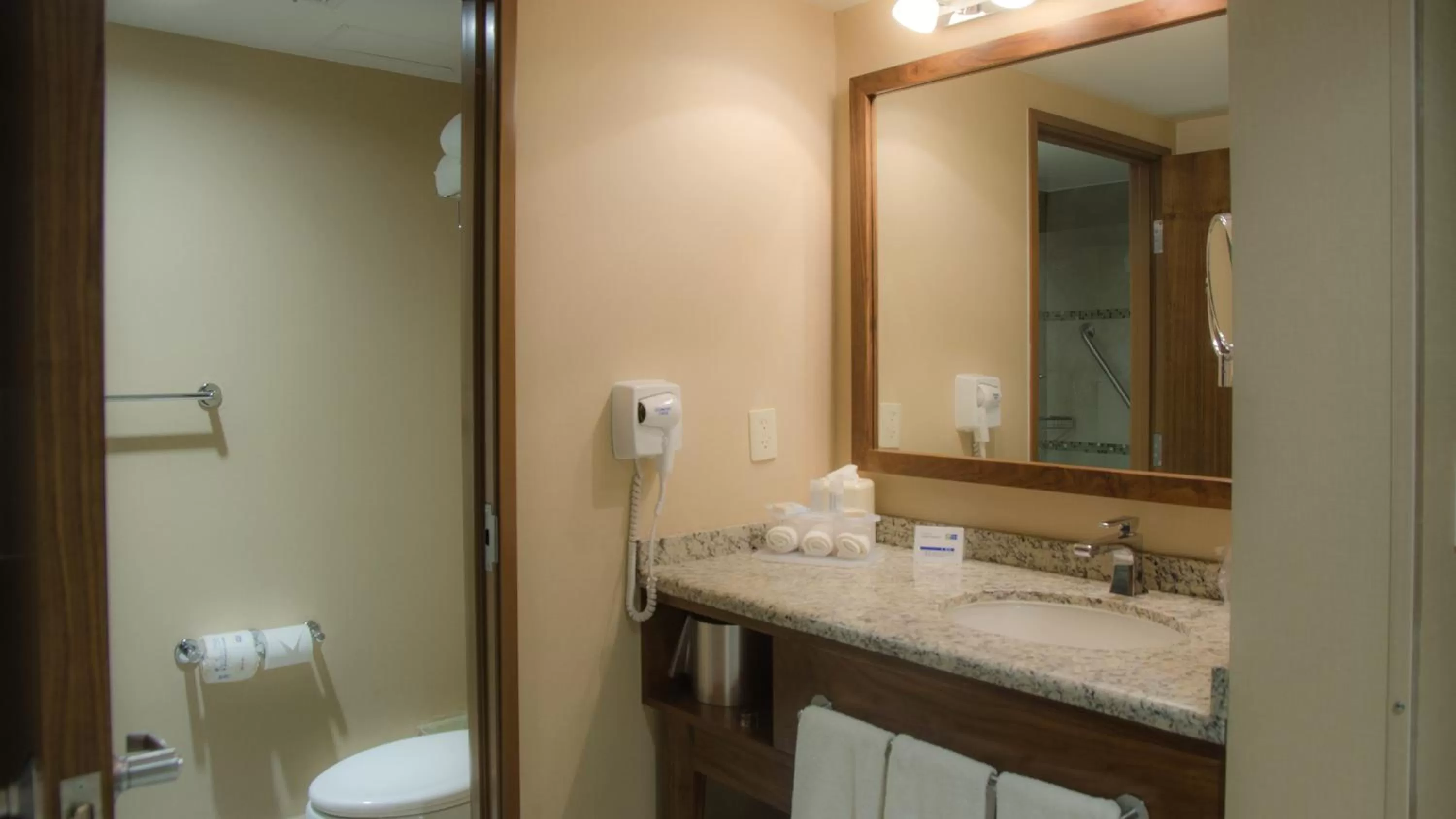 Bathroom in Holiday Inn Express and Suites Celaya by IHG