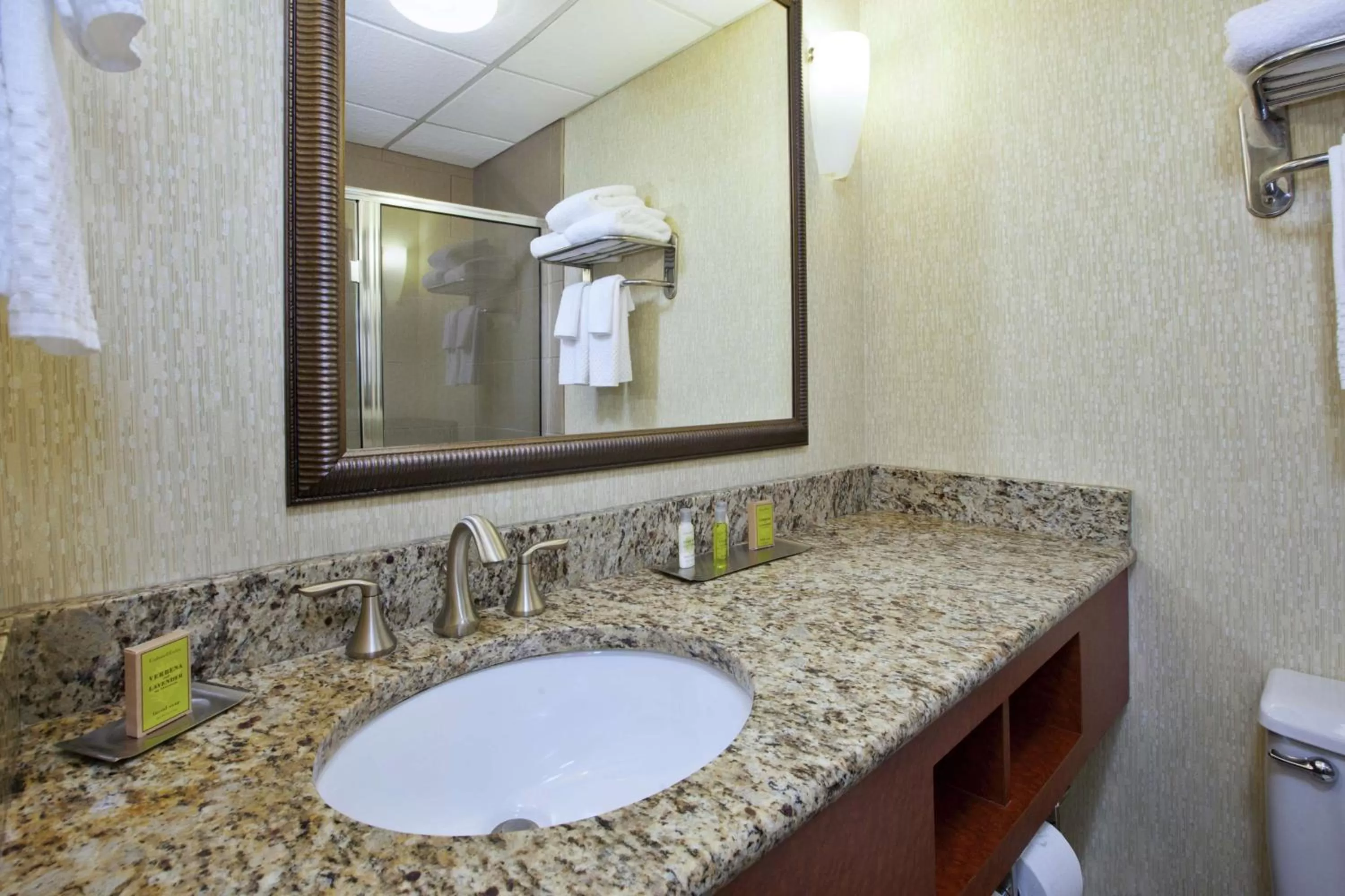 Bathroom in DoubleTree by Hilton Holland