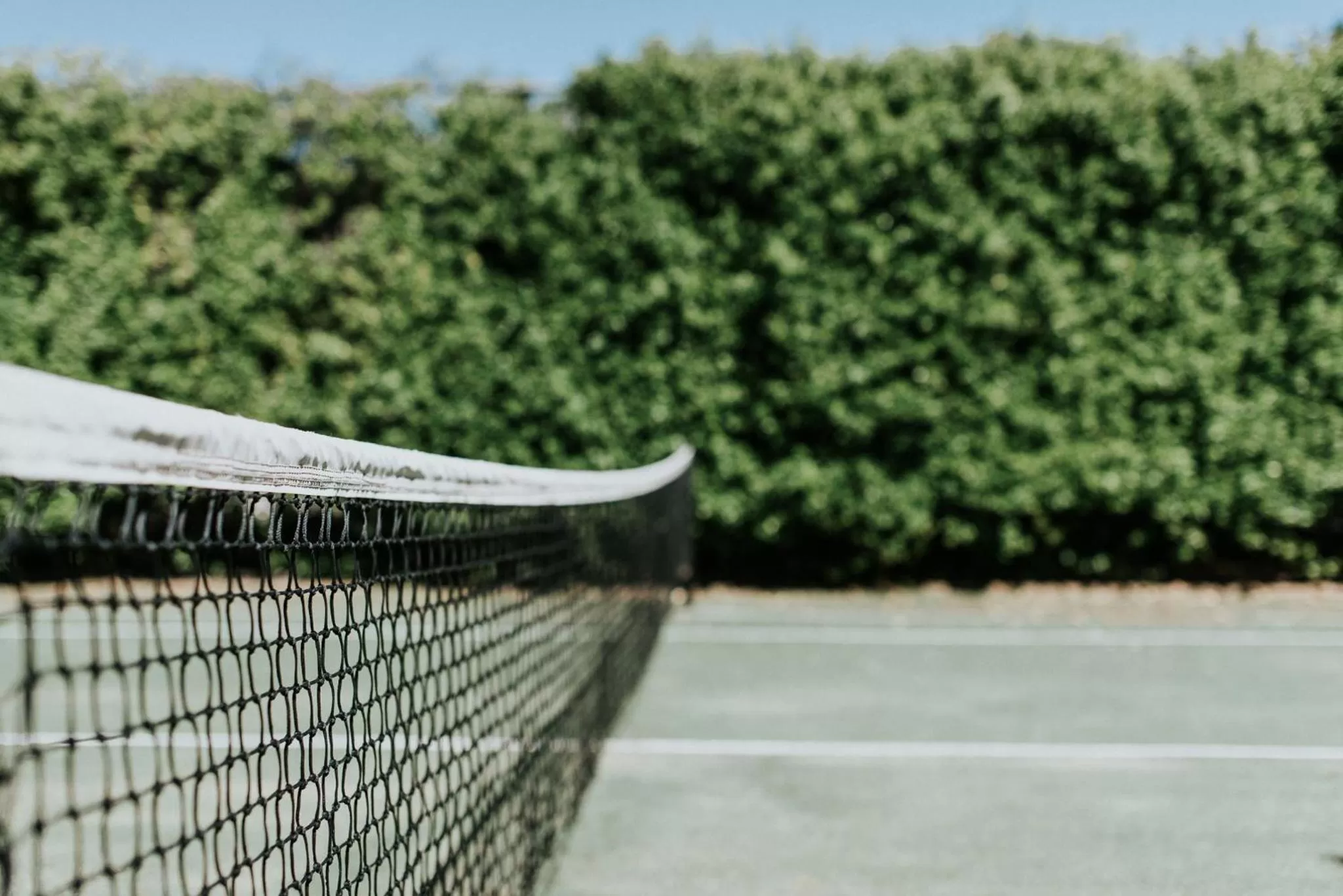 Activities in Forgandenny House B&B