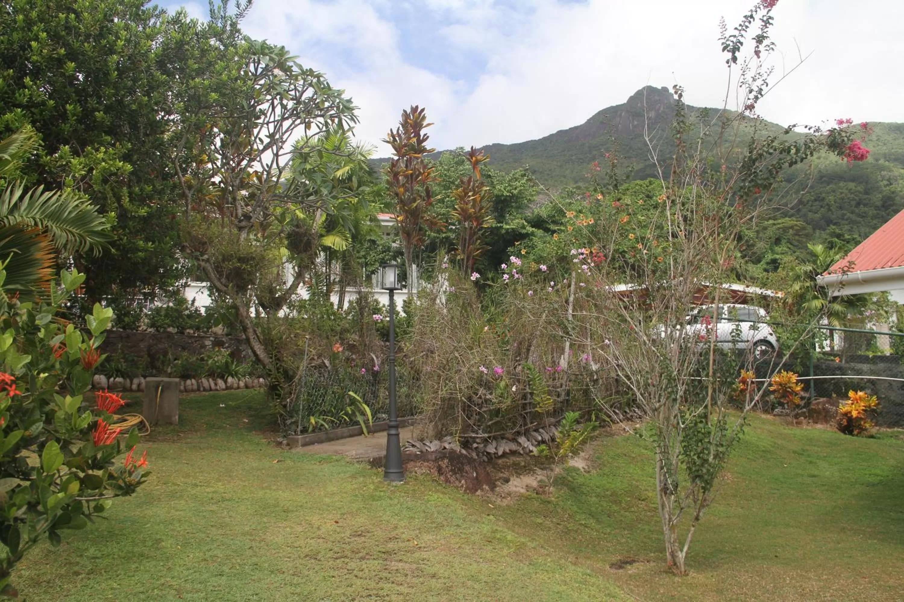 Garden in Daniella's Bungalows