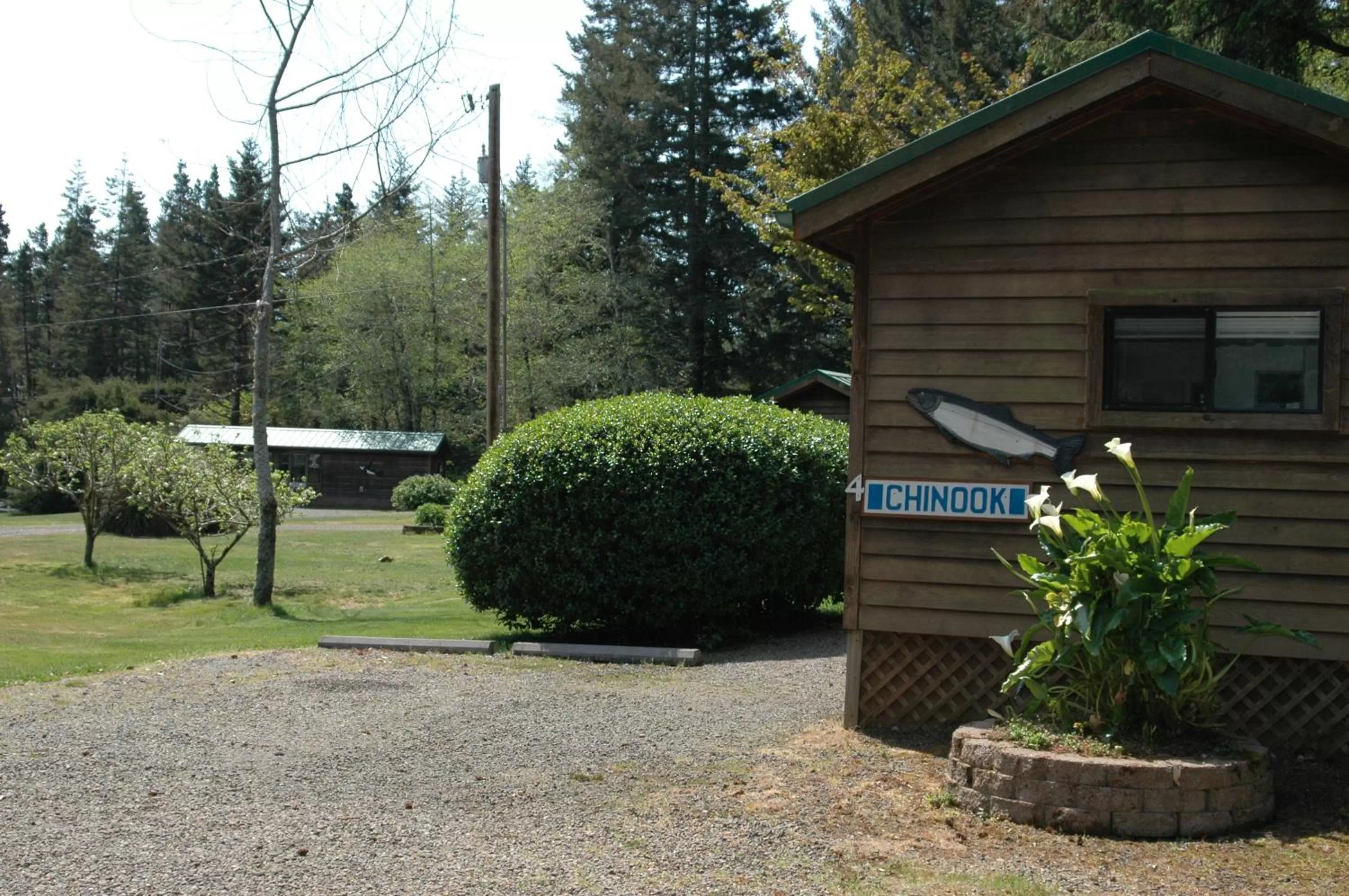 Park Motel and Cabins