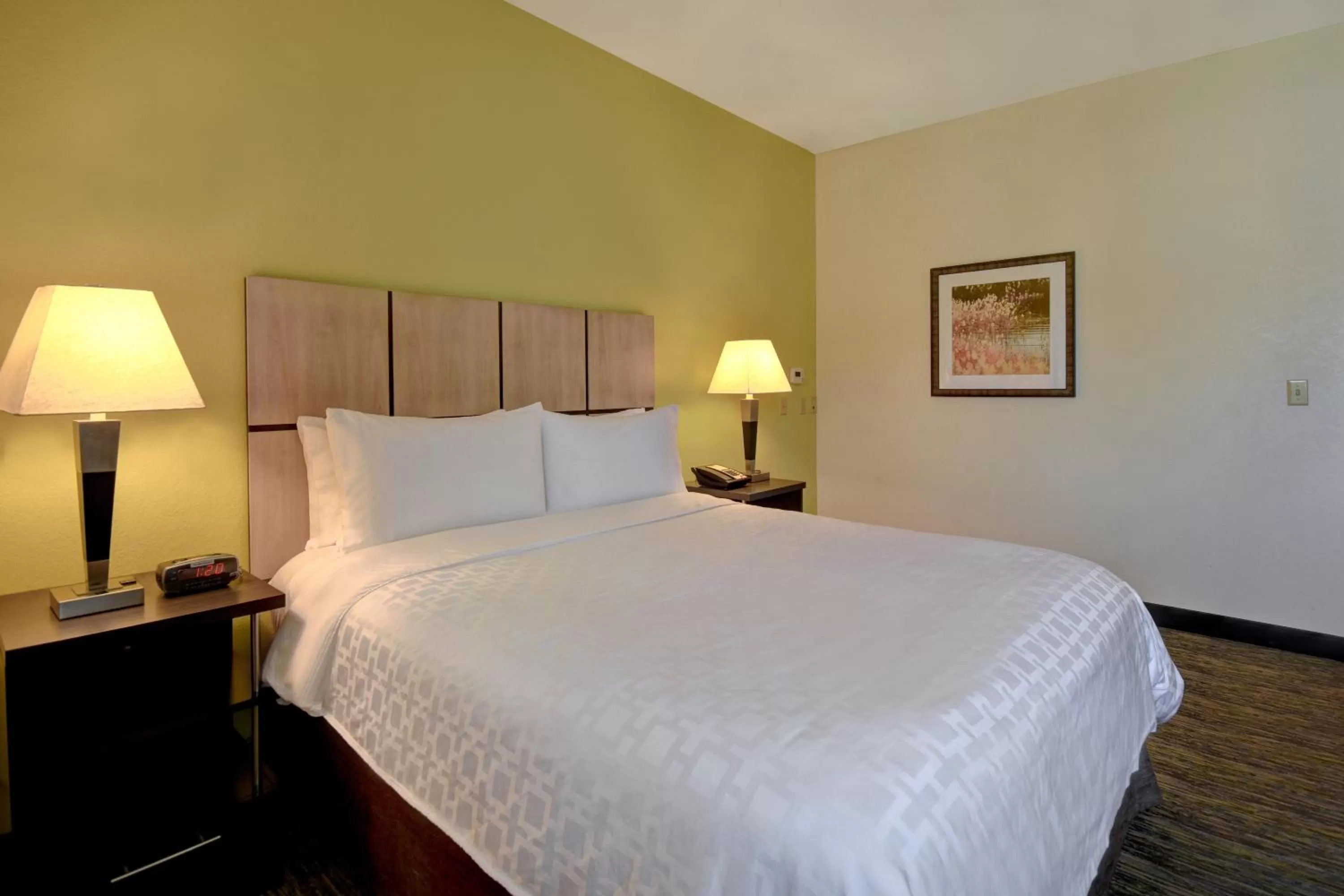 Bedroom, Bed in Candlewood Suites Carrollton by IHG