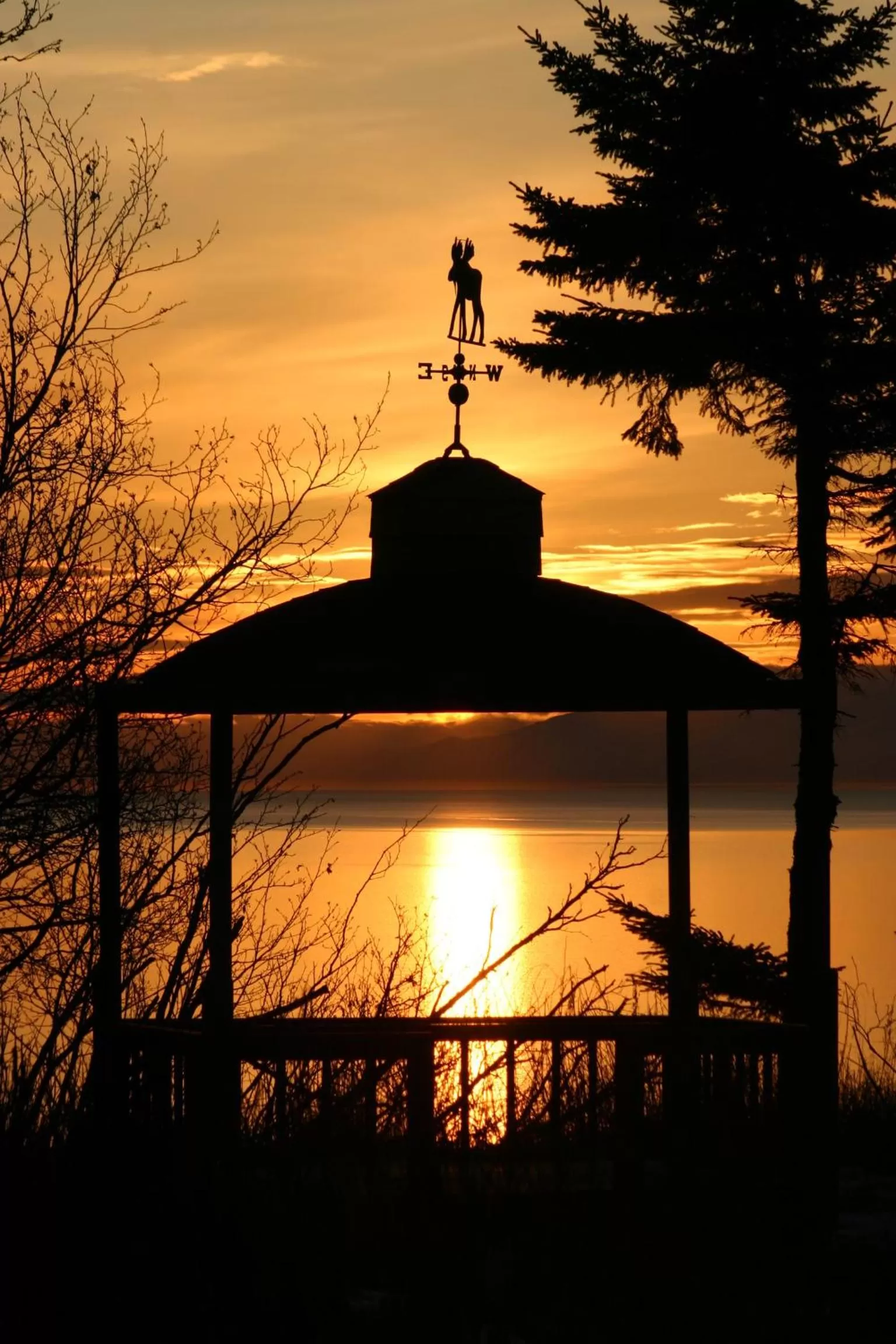 View (from property/room) in Clam Gulch Lodge