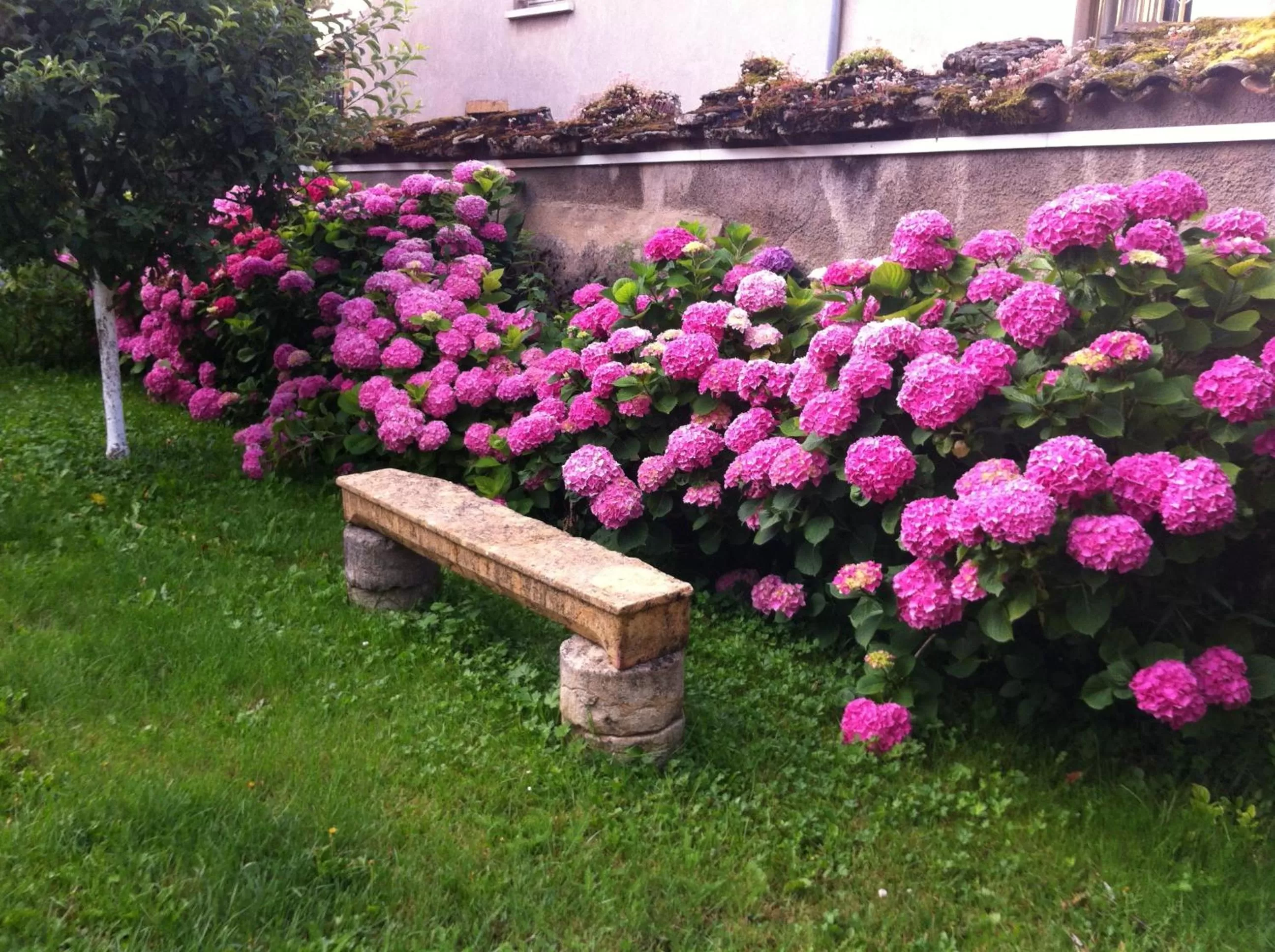 Garden in Chambres d'Hôtes Mado et Lulu