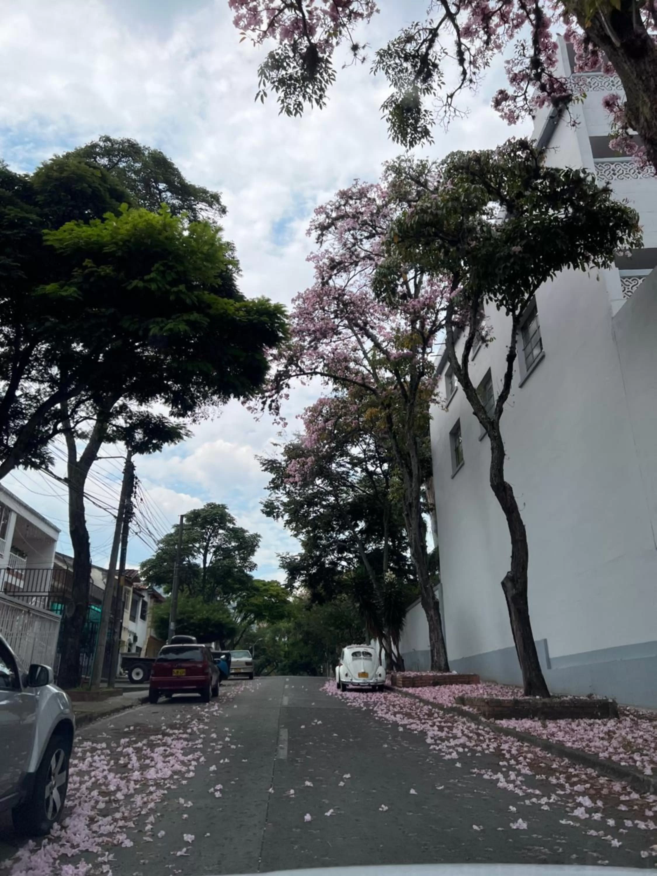 Quiet street view in HOTEL 9.5 SAN FERNANDO