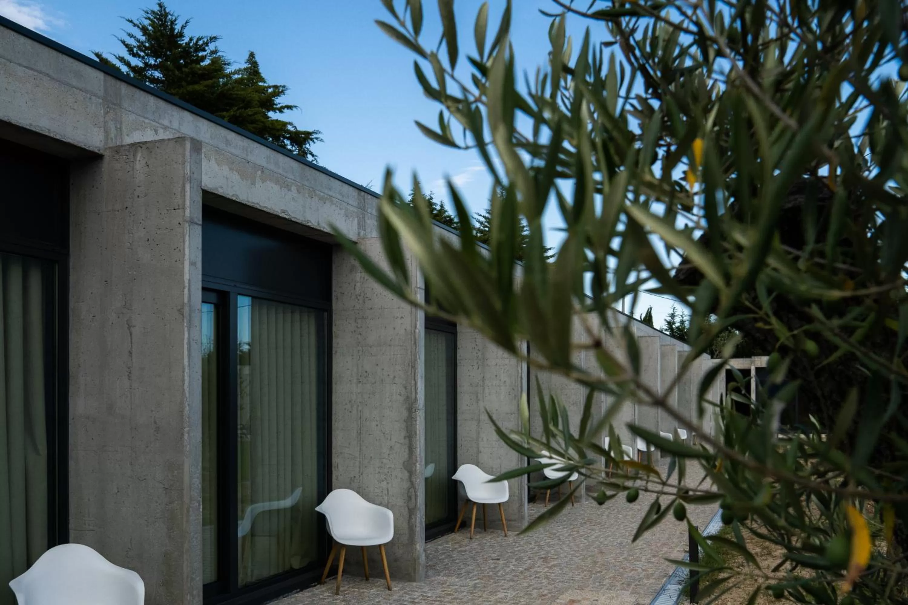 Borralha Hotel, Restaurante & Spa