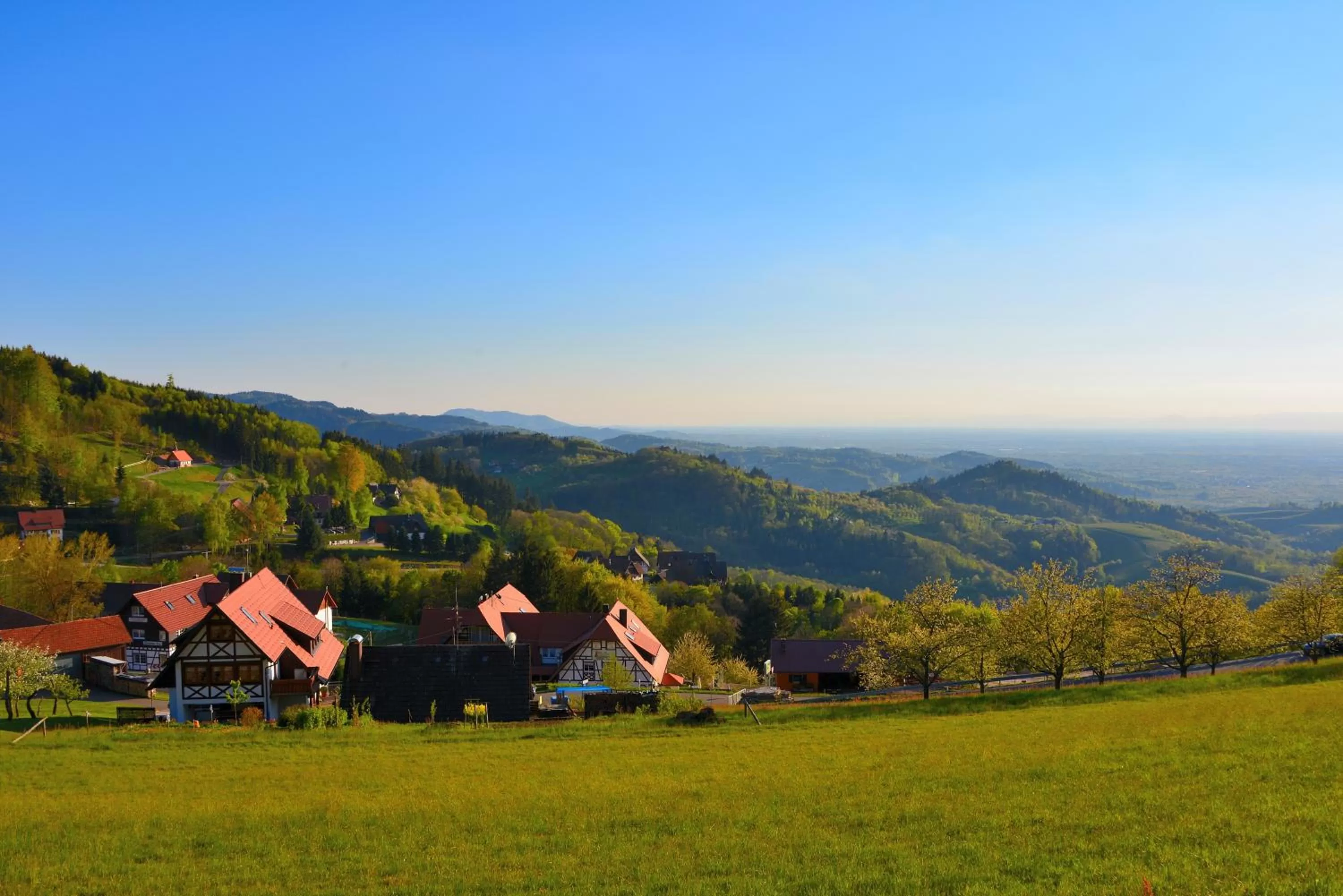 Natural landscape, Bird's-eye View in RelaxHotel Tannenhof