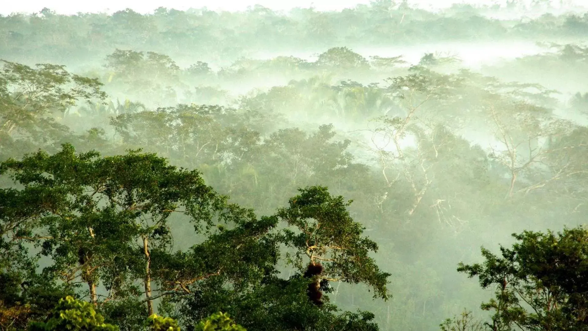 Gaia Riverlodge Gaia Riverlodge