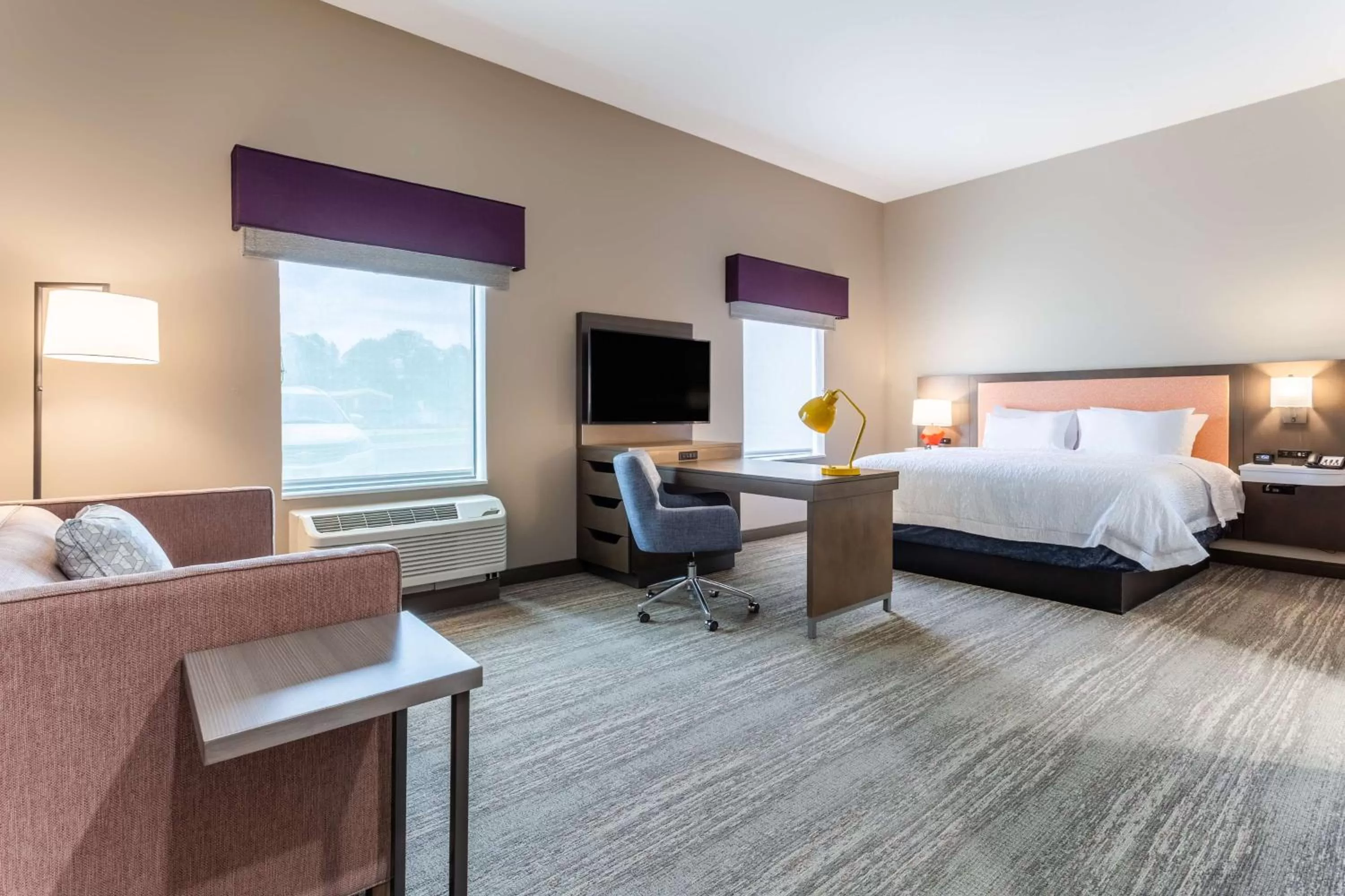 King Room - Mobility/Hearing Accessible - Non-Smoking in Hampton Inn And Suites Guymon