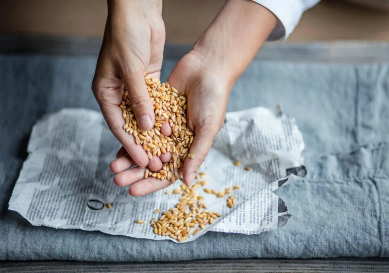 Food close-up in Castello del Sole Beach Resort&SPA