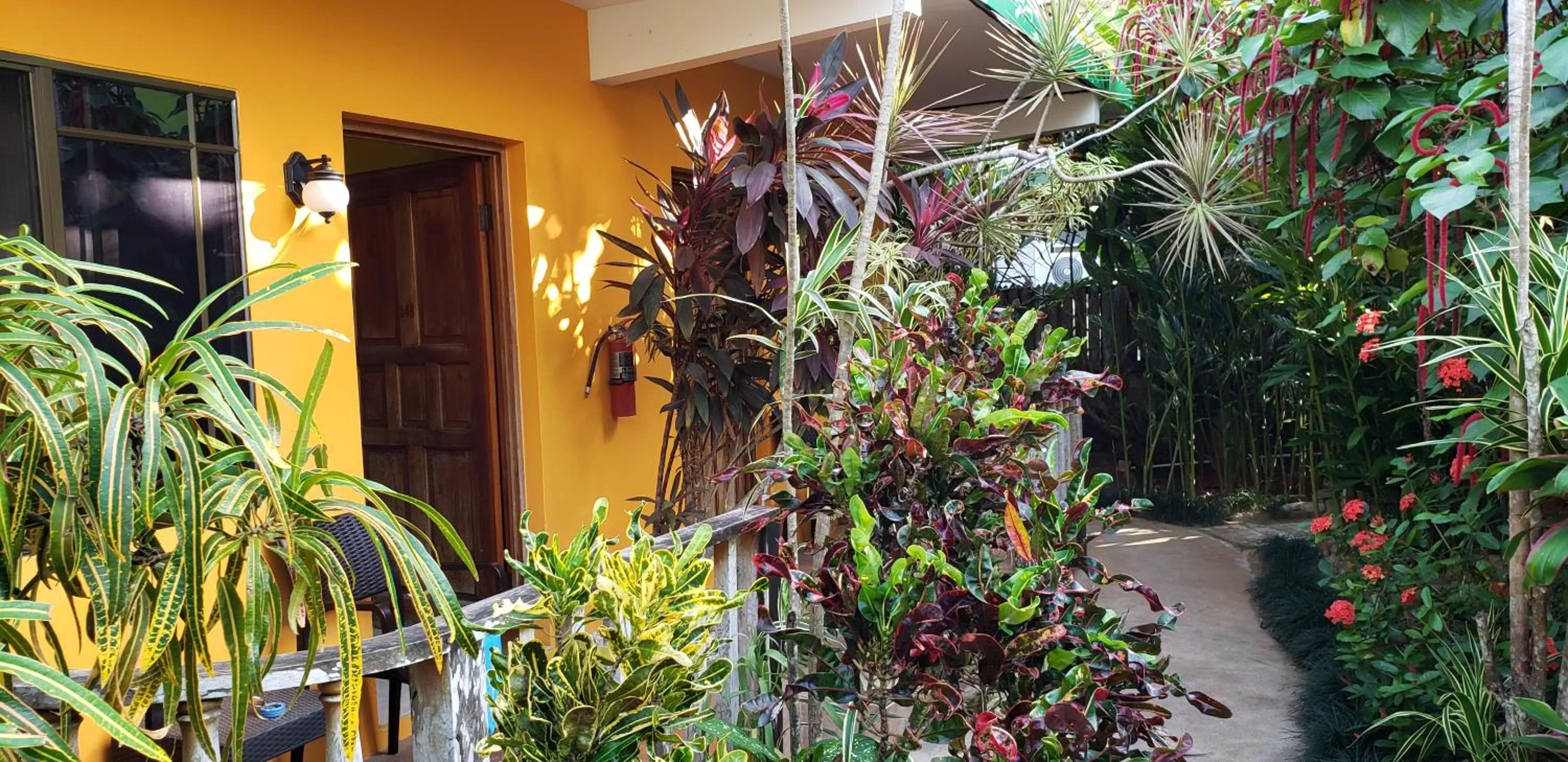 Garden view in Sunrise Club Hotel