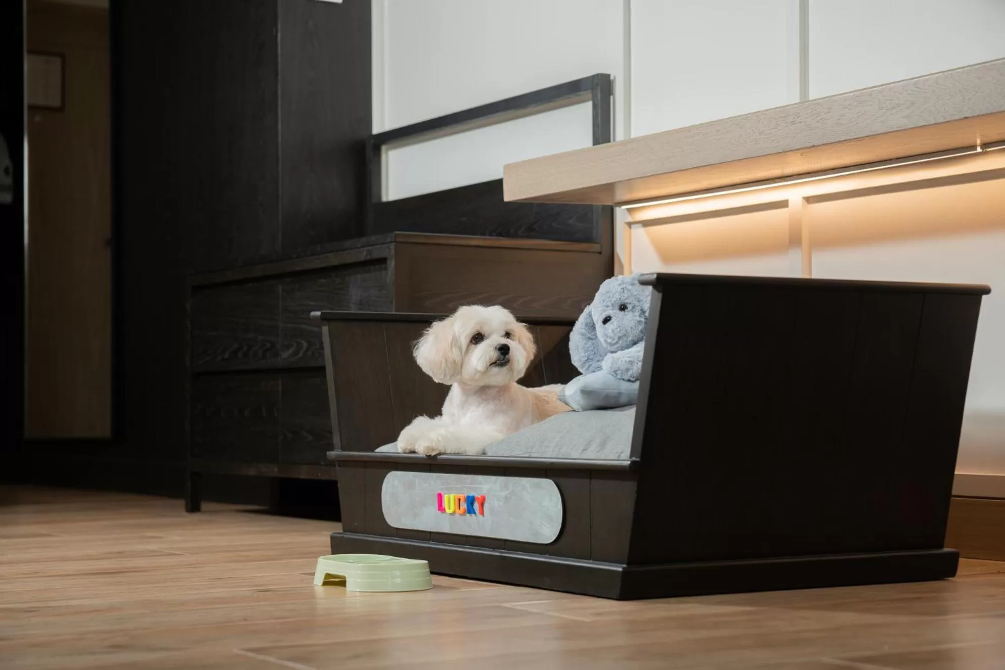 pet friendly in Hyatt Regency Hua Hin