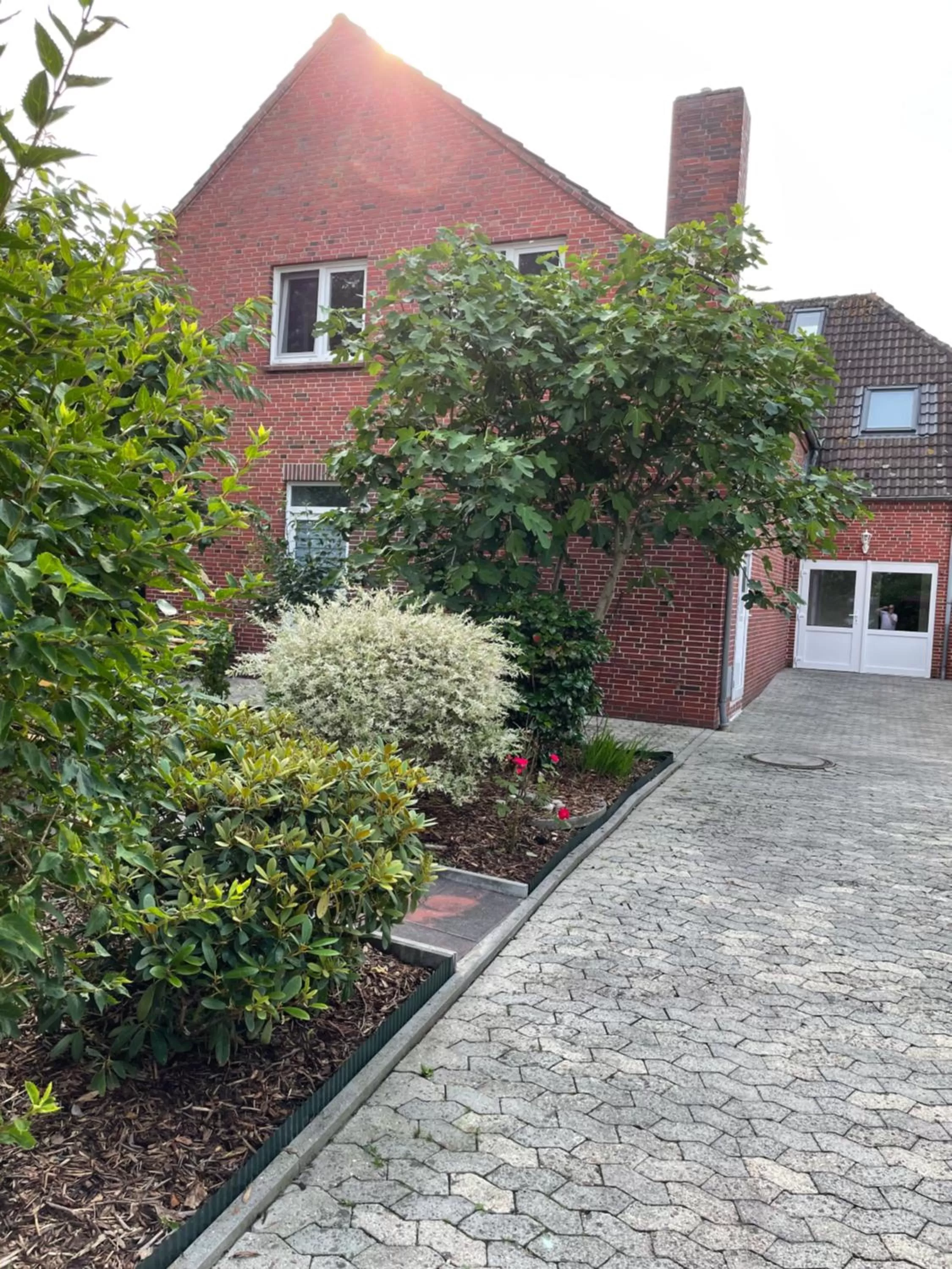 Garden in Pension Deichgraf