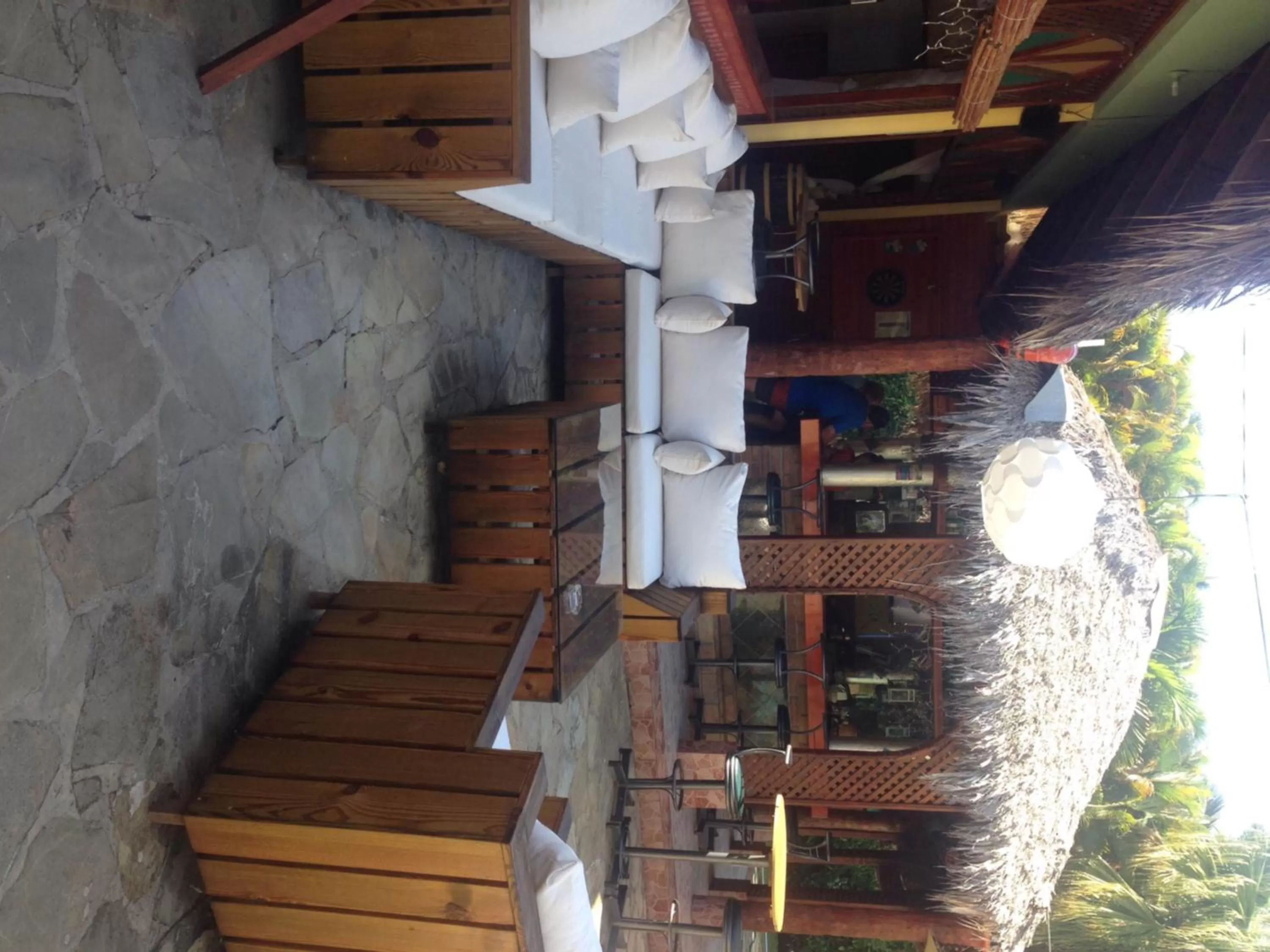 Garden in Hotel Voramar