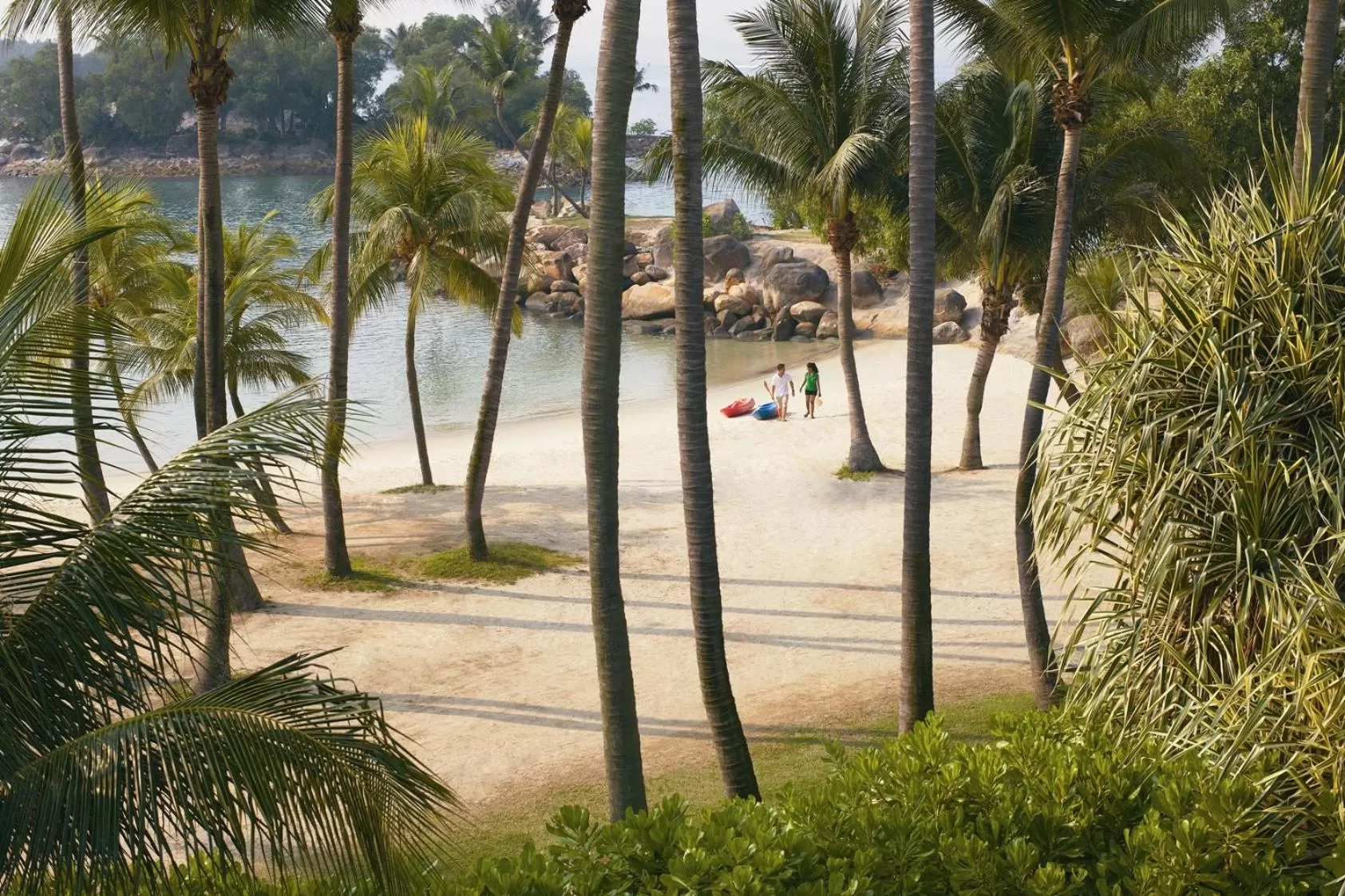 Natural landscape in Shangri-La Rasa Sentosa, Singapore