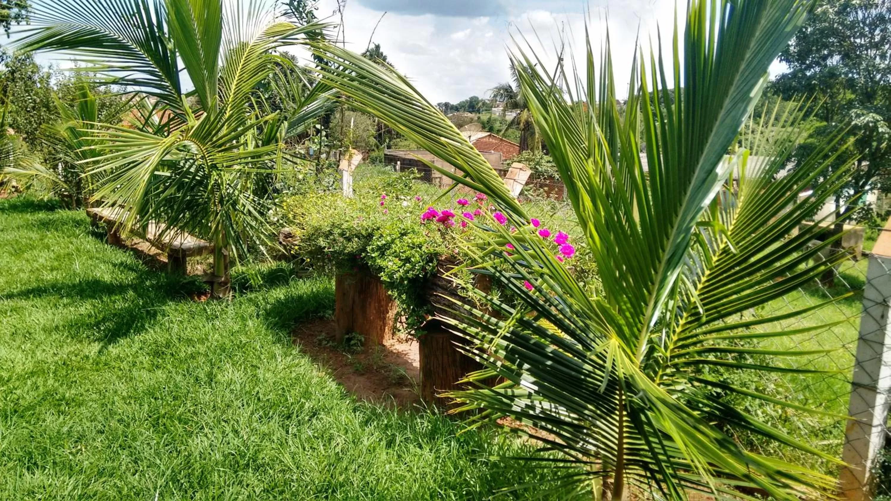 Area and facilities, Garden in Pousada Sorocabana