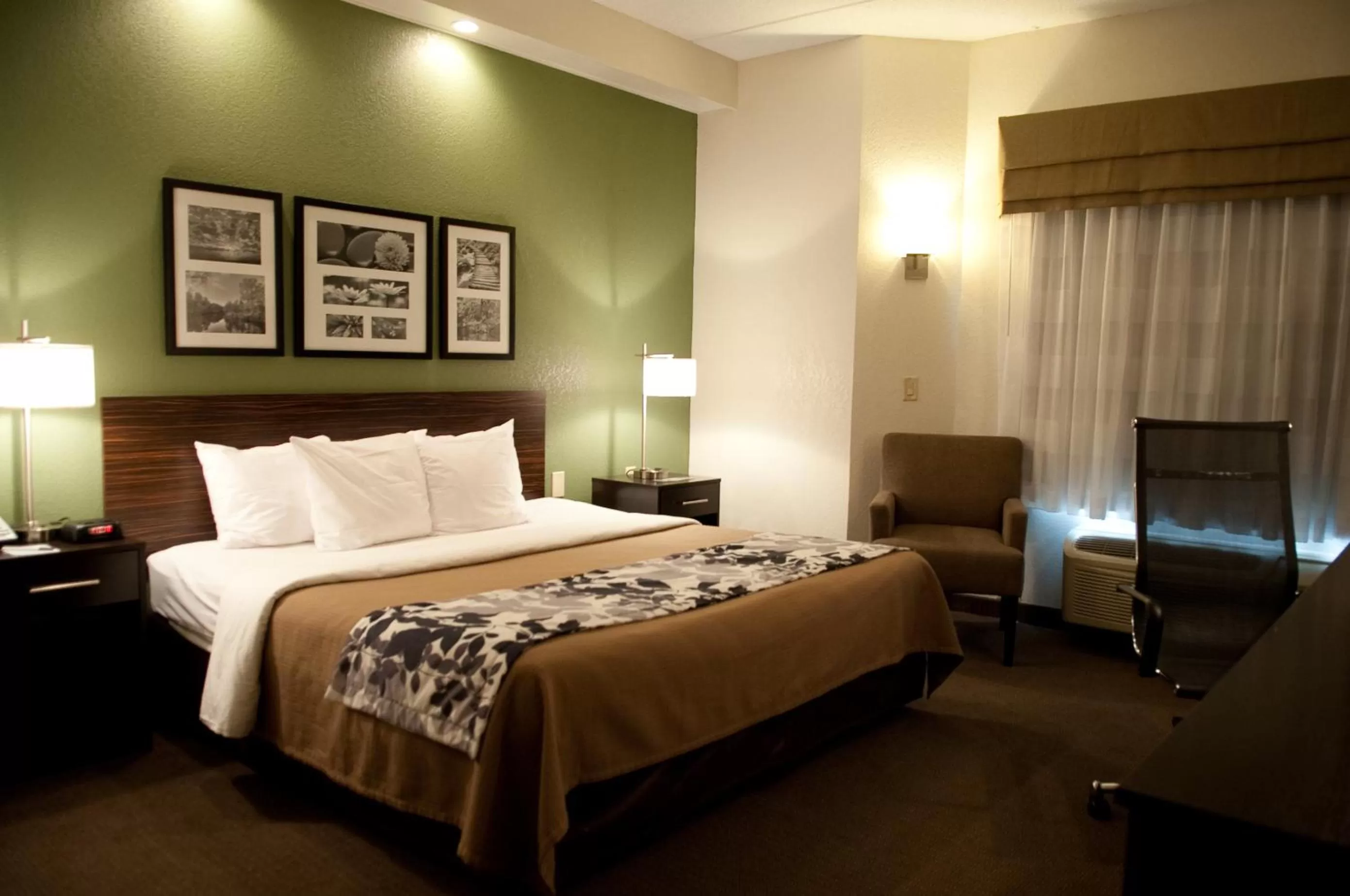 Queen Room - Non-Smoking - Accessible - Tub Only in Sleep Inn & Suites Buffalo Airport Cheektowaga