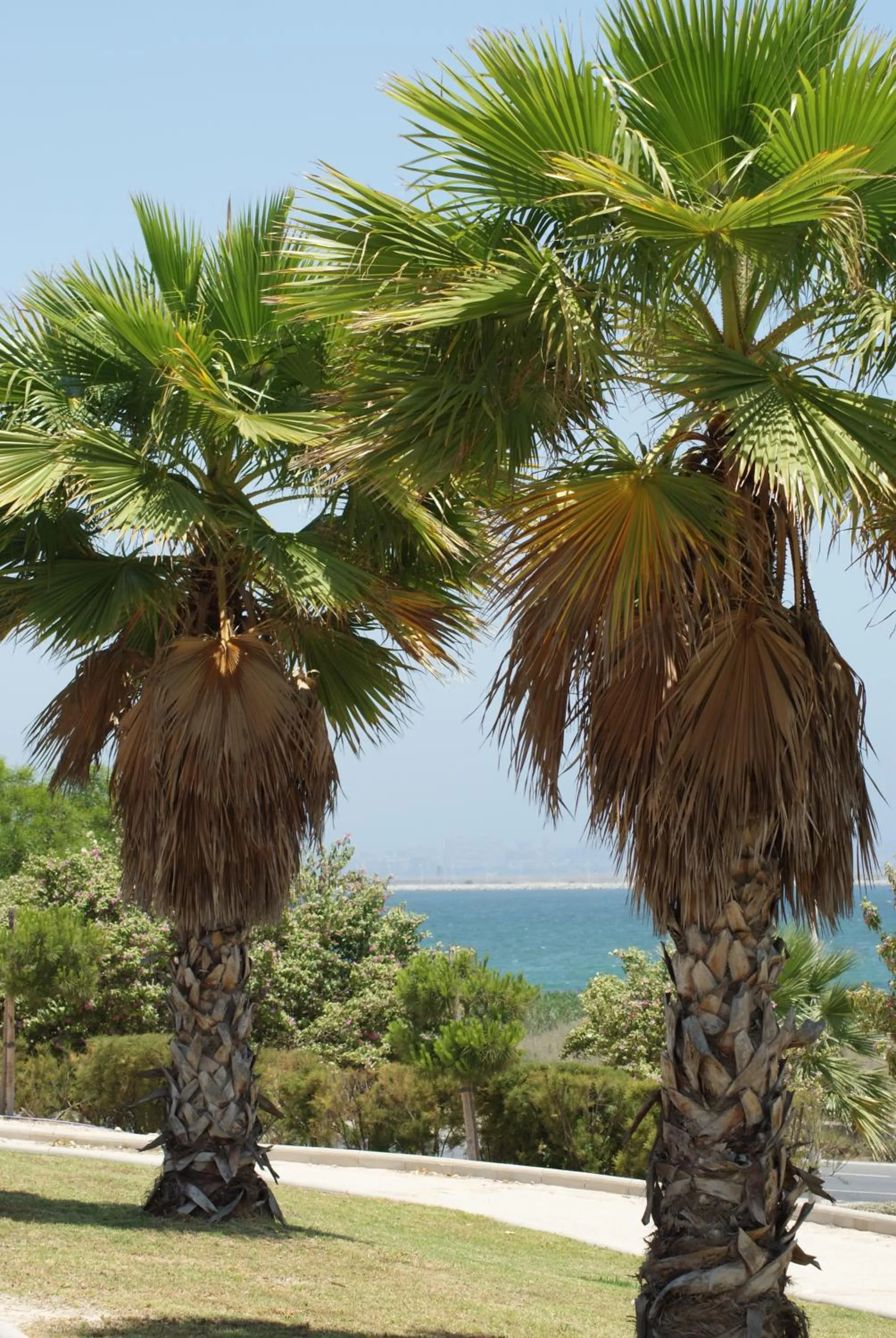 Other in Ibis Budget Alicante