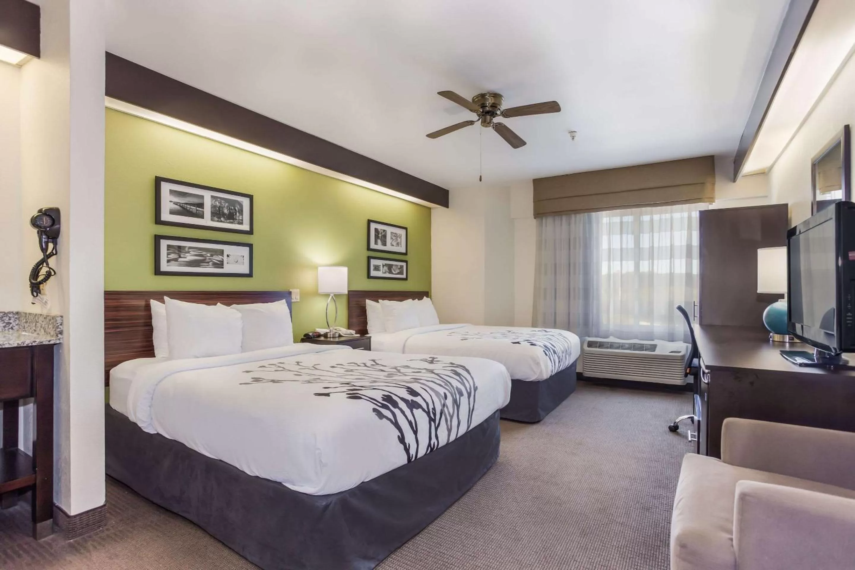 Photo of the whole room, Bed in Sleep Inn Little River - North Myrtle Beach