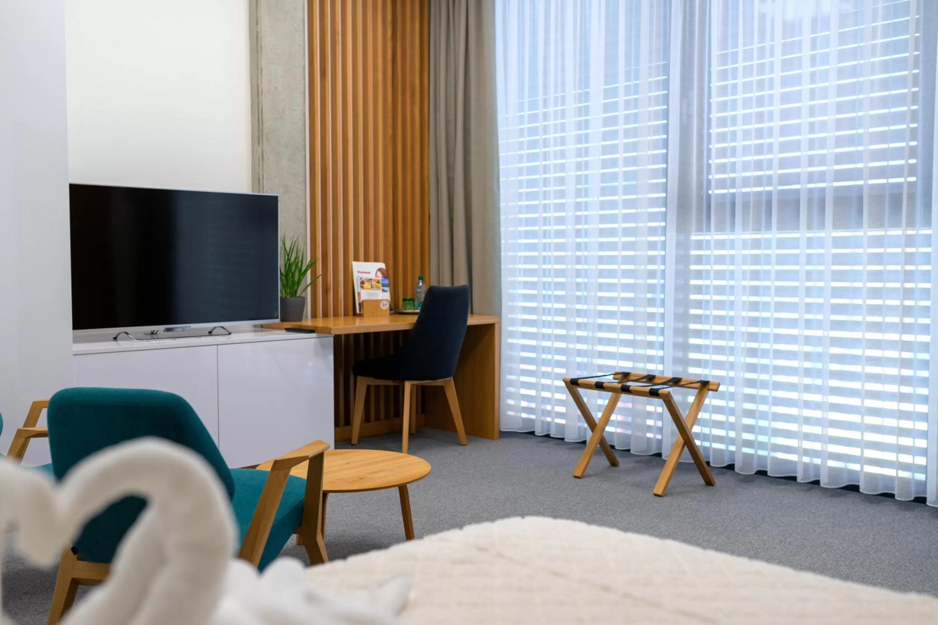 TV/Entertainment Center in Hotel Smetanova