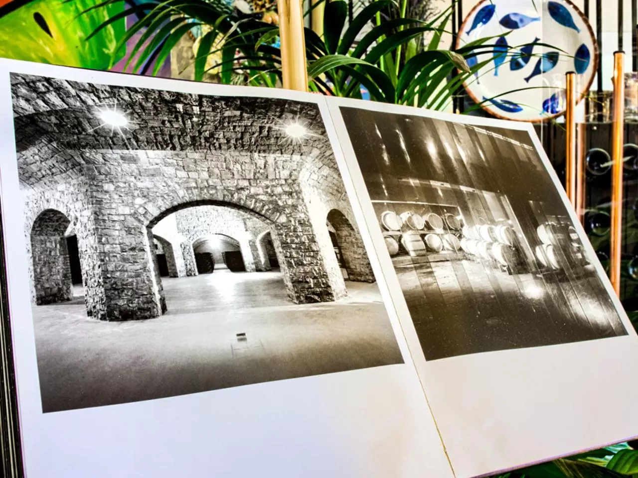 Restaurant/places to eat in GRONO Apartamenty