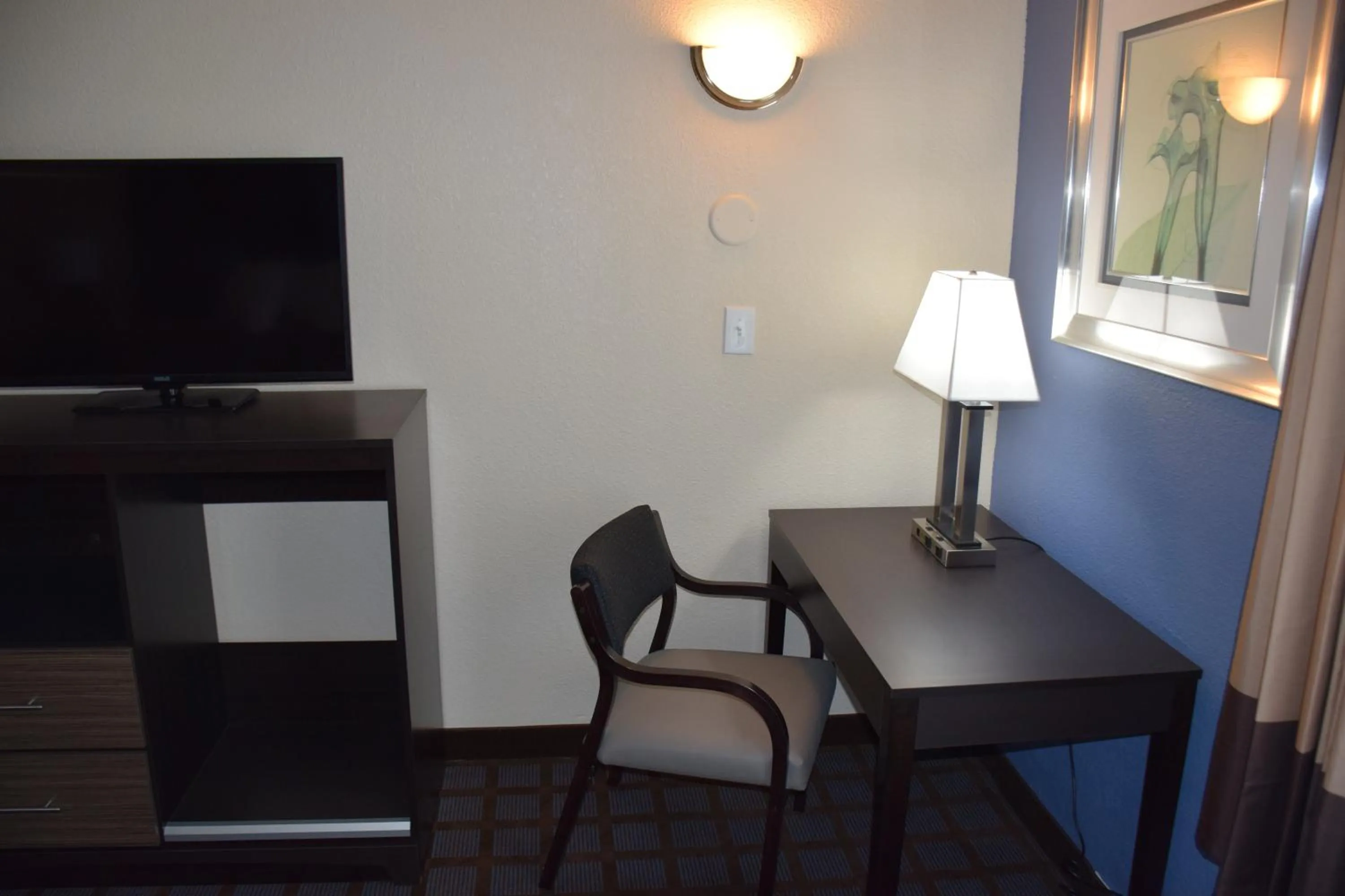 Decorative detail in Hawthorn Suites by Wyndham Columbia