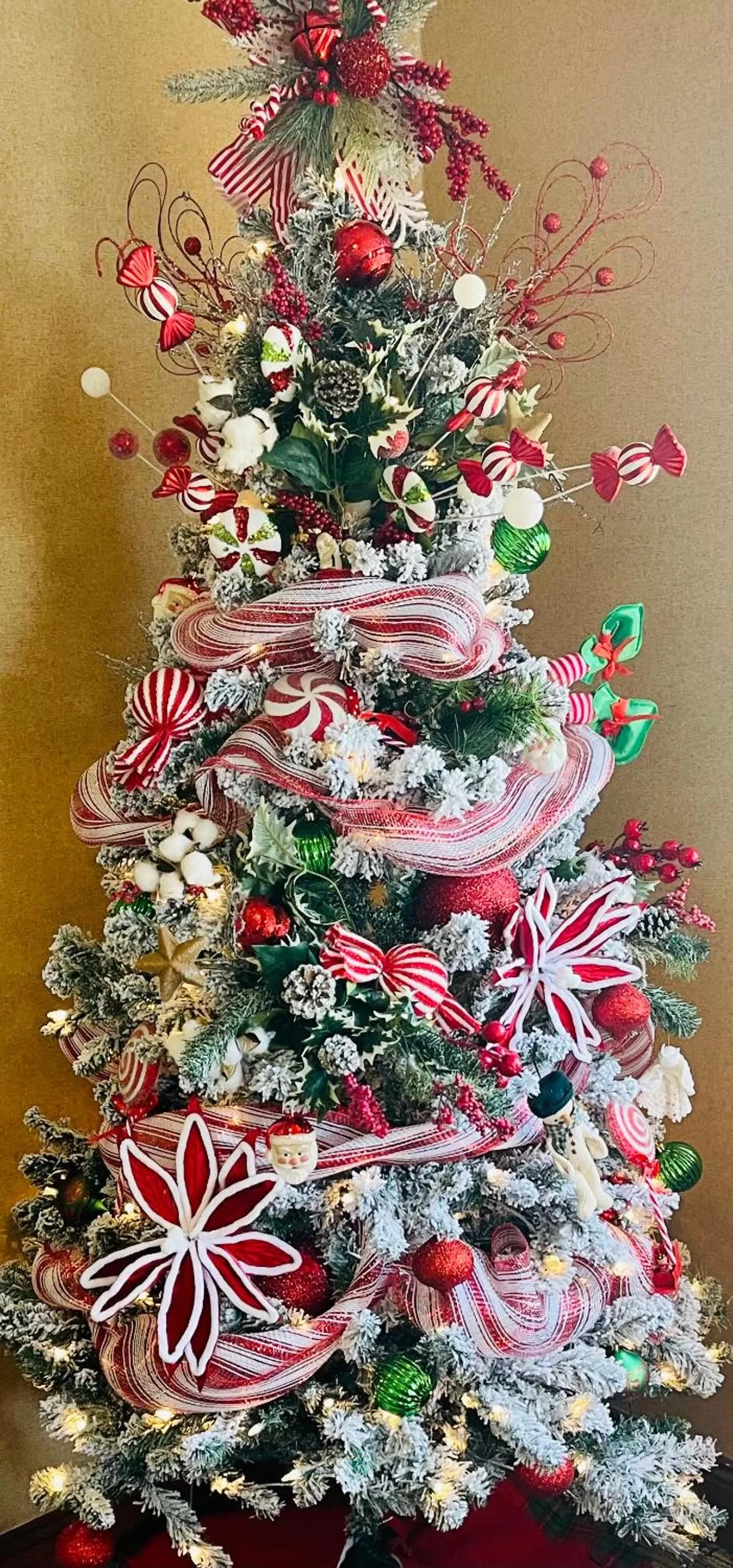 Super 8 by Wyndham Ripley