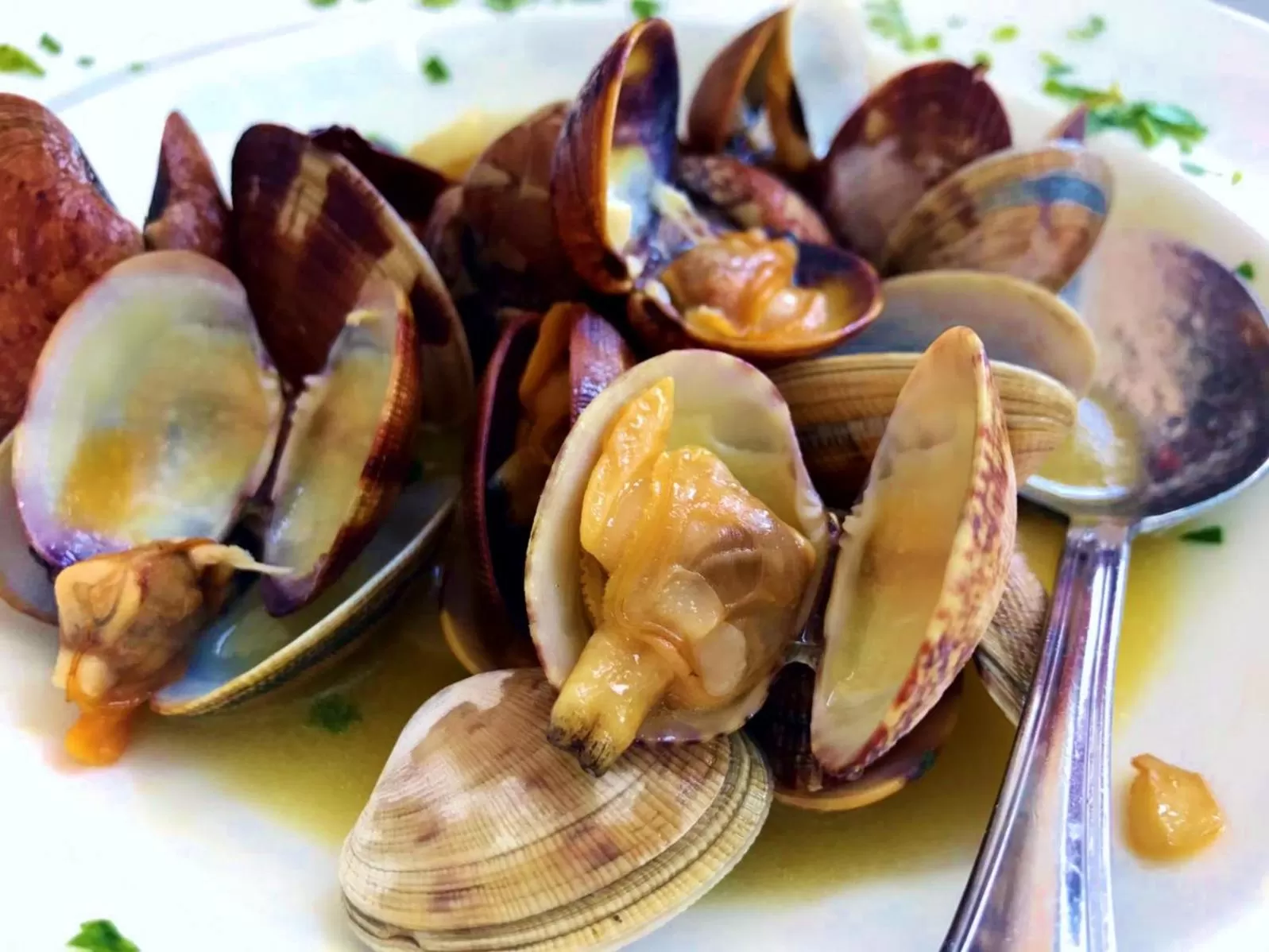 Food close-up in Torrecobijo