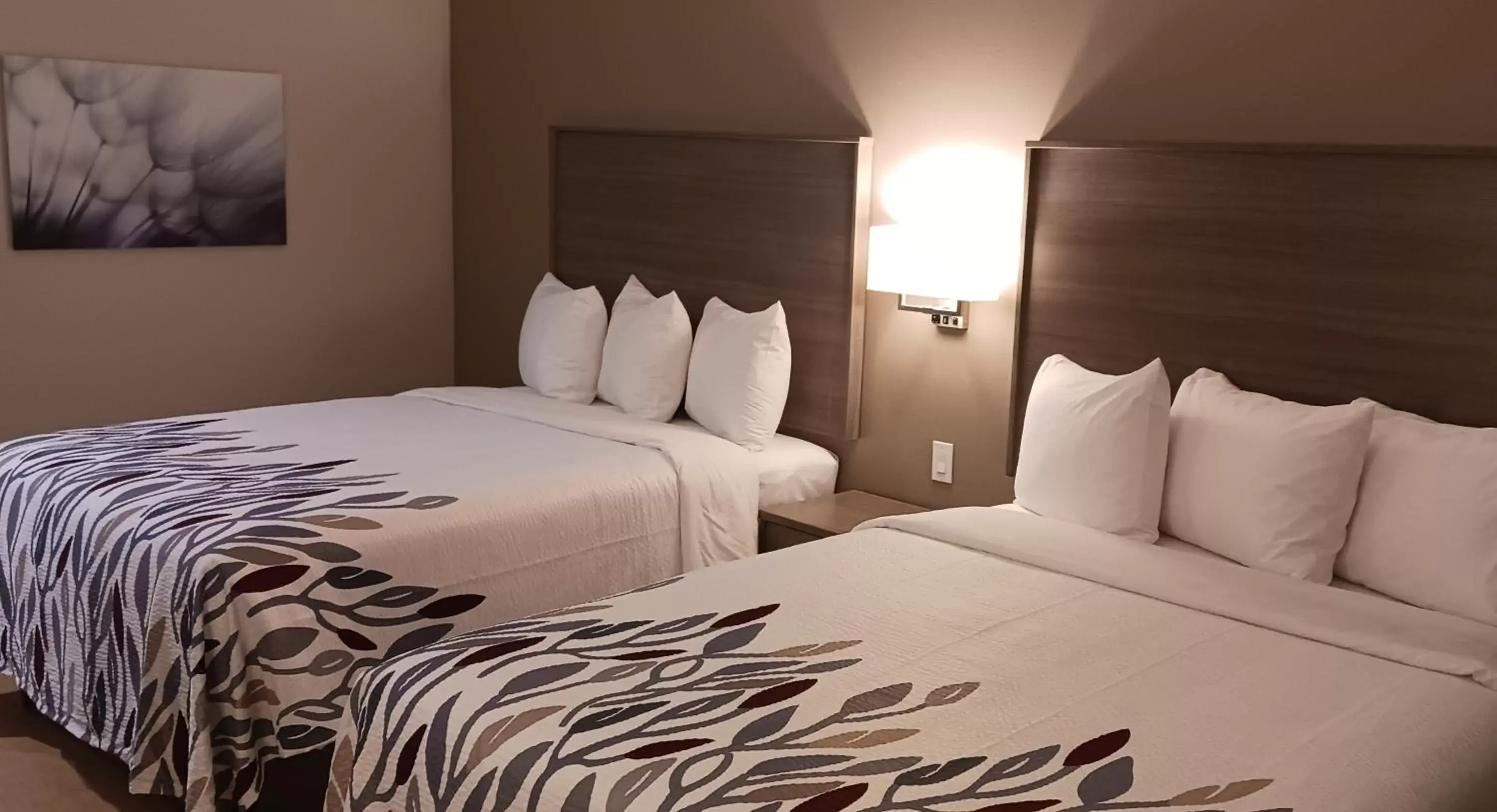 Deluxe Queen Room in Red Roof Inn Lancaster, TX Deluxe Queen Room in Red Roof Inn Lancaster, TX