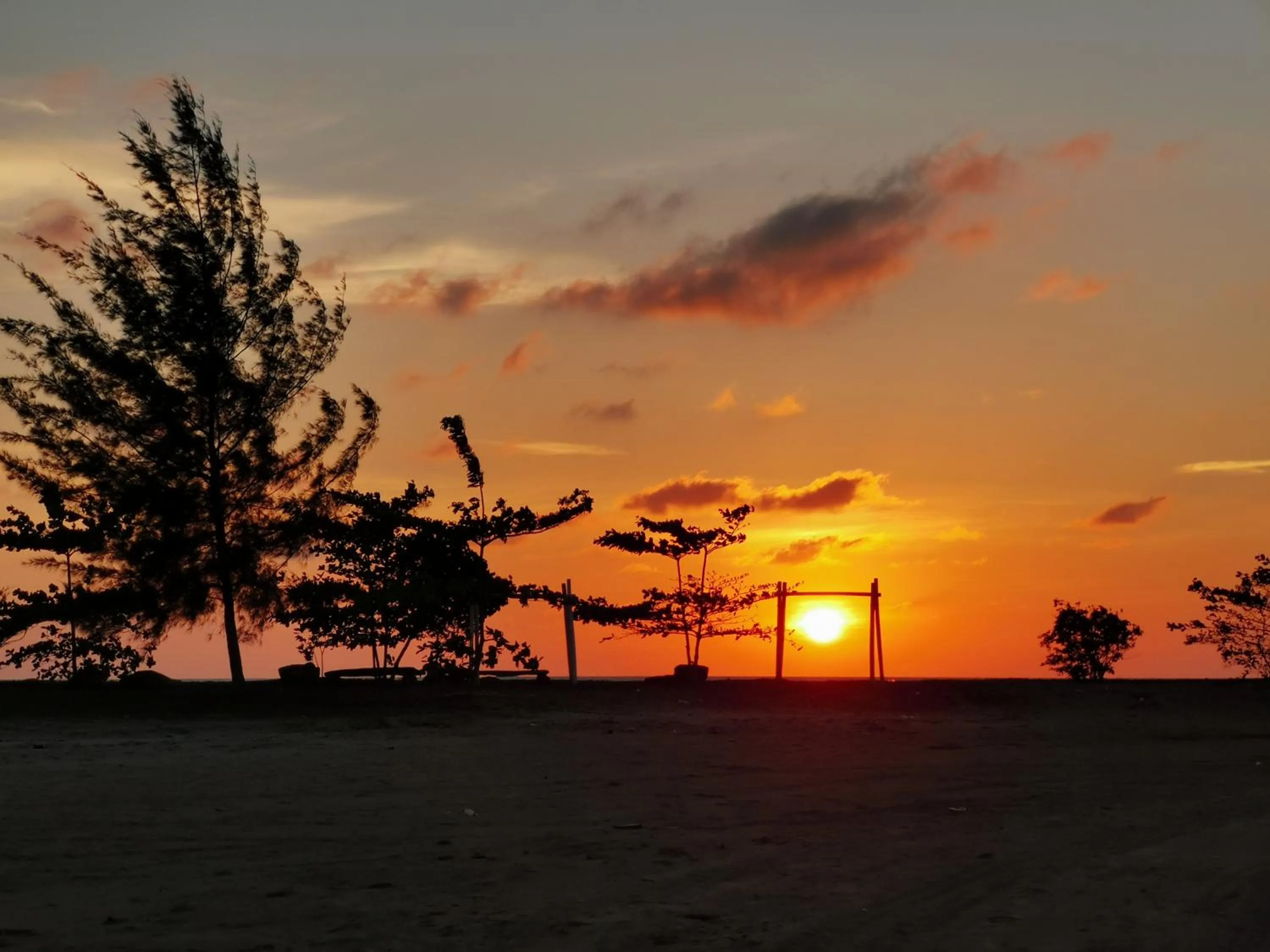 Natural landscape in Palm Beach Resort & SPA