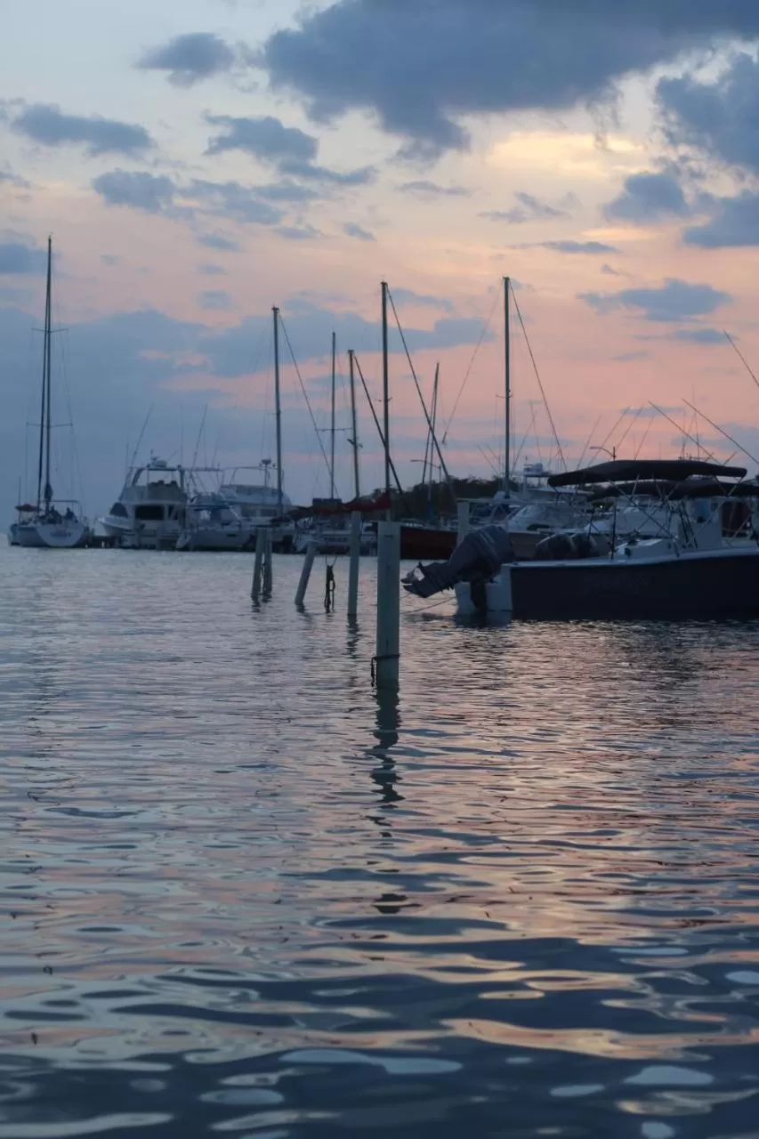 Natural landscape in BOHO Beach Club