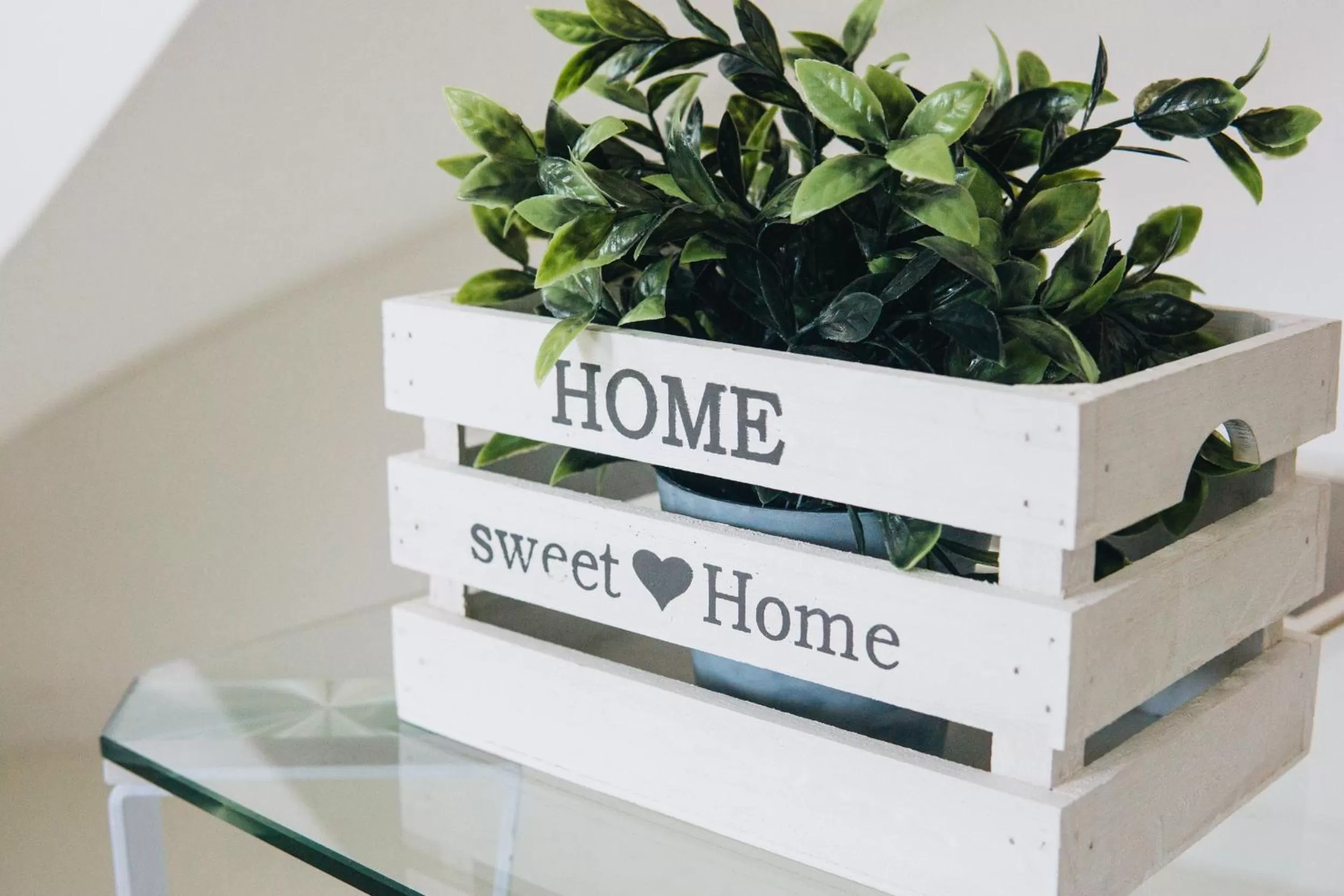 Lobby or reception in Resort la Magnolia