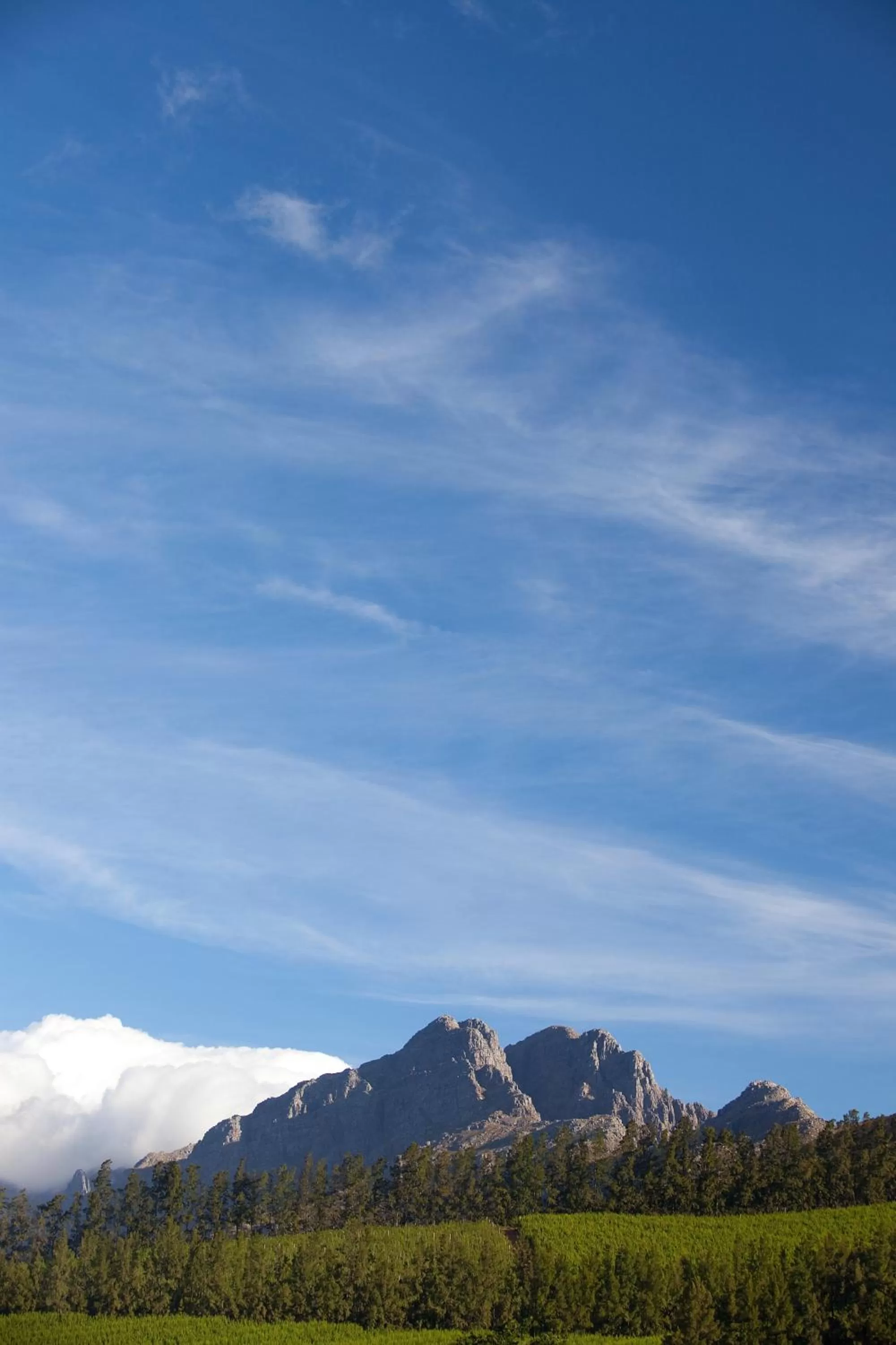 On site in Clouds Estate