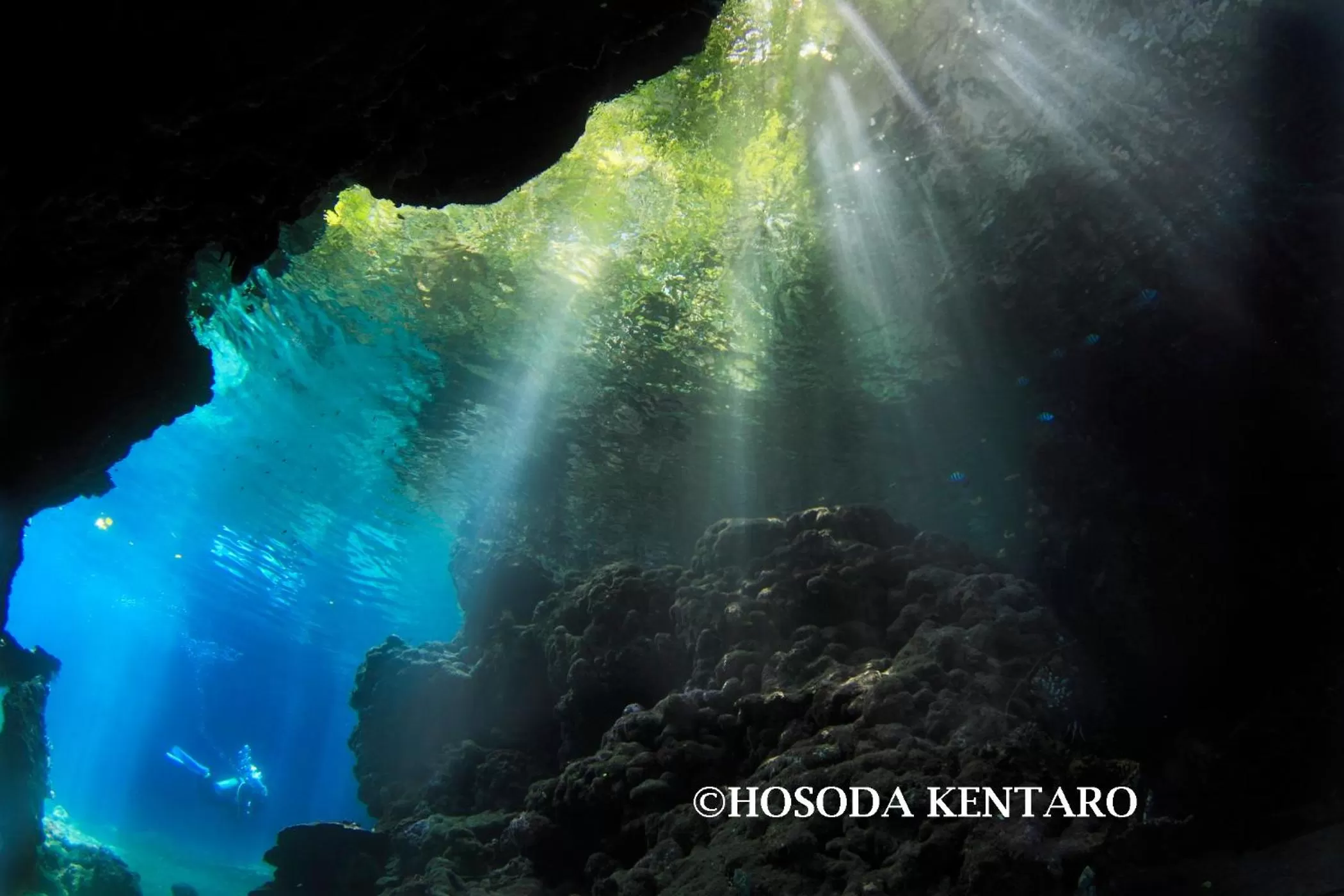 Tawali Leisure & Dive Resort