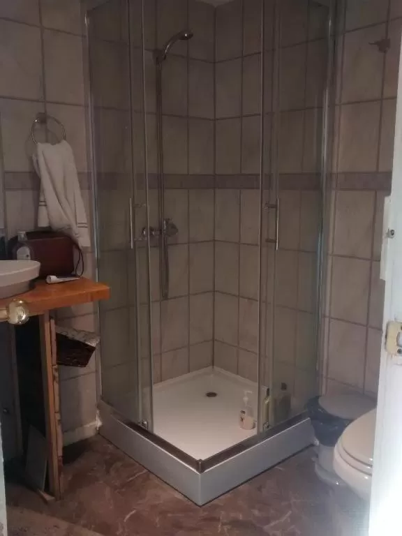 Shower, Bathroom in Xalpen B&B