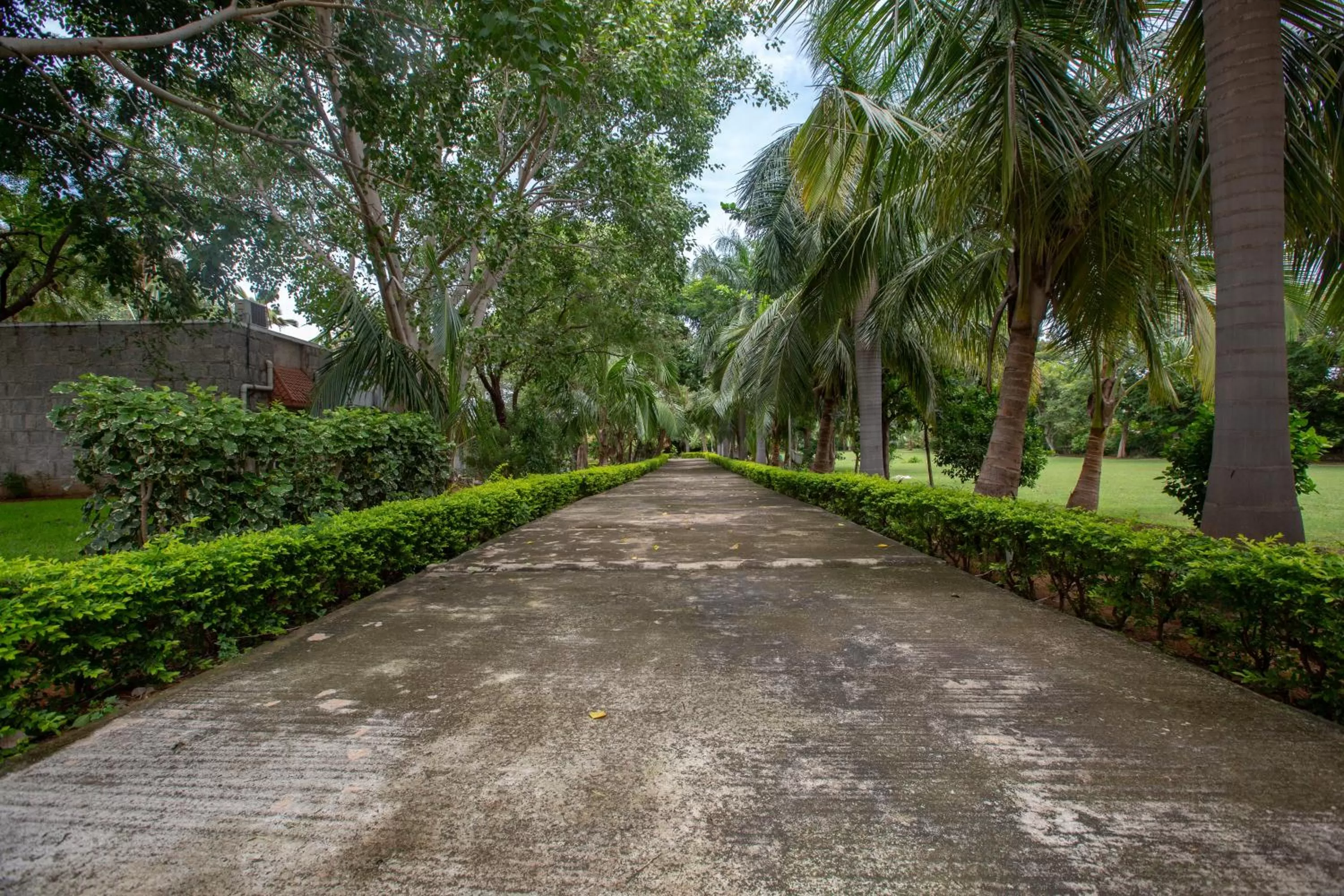 Garden in KSTDC Hotel Mayura Bhuvaneshwari Kamalapur