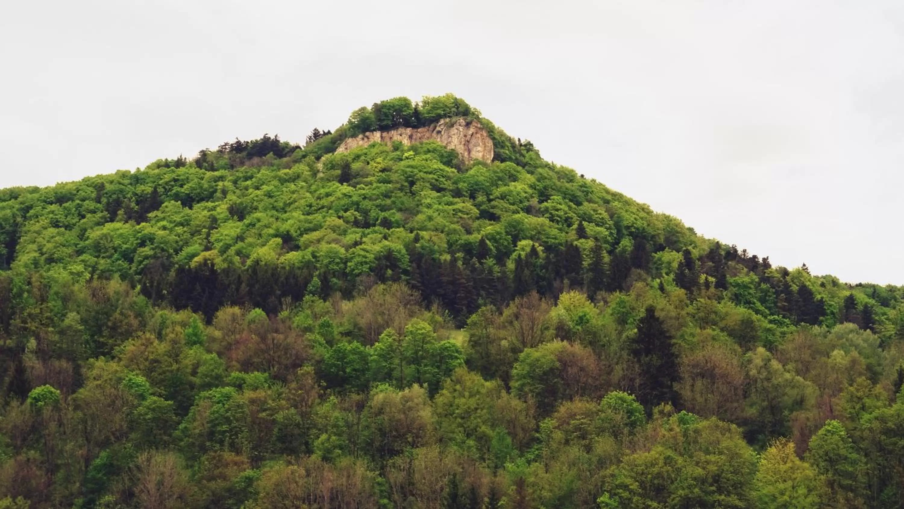 Mountain view in Alb Hotel Schalksburg