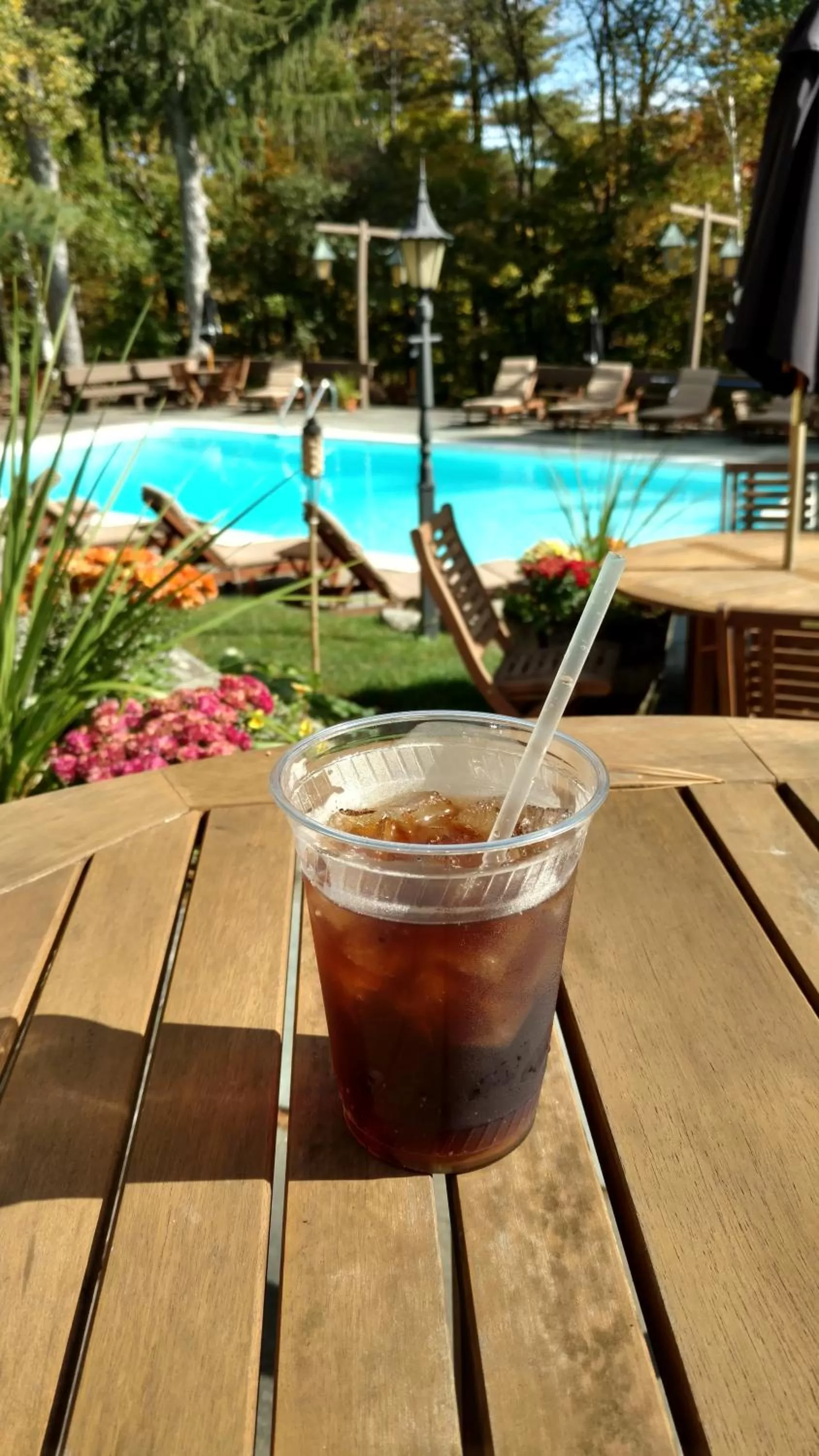 Alcoholic drinks in Summit Lodge