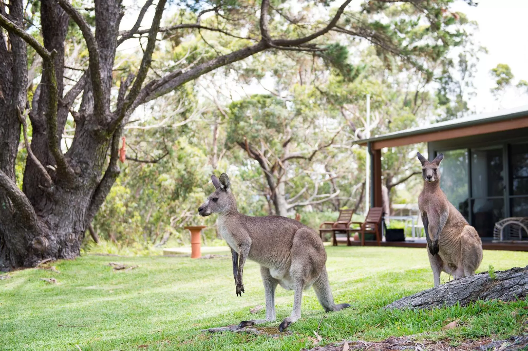 Natural landscape in By the Beach B&B Self Contained Apartments
