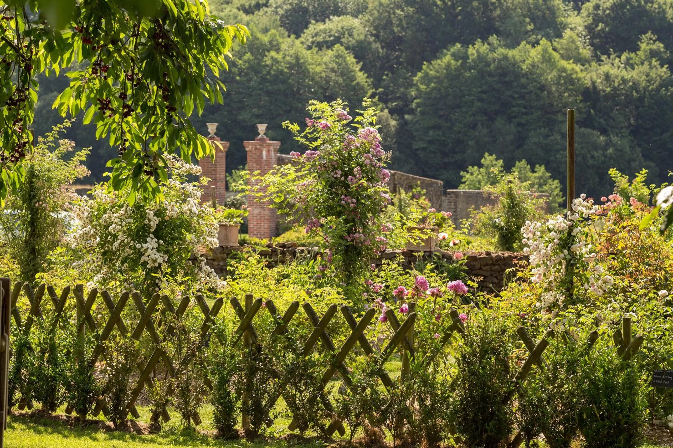 Garden in Hôtel du Domaine de La Groirie - Le Mans