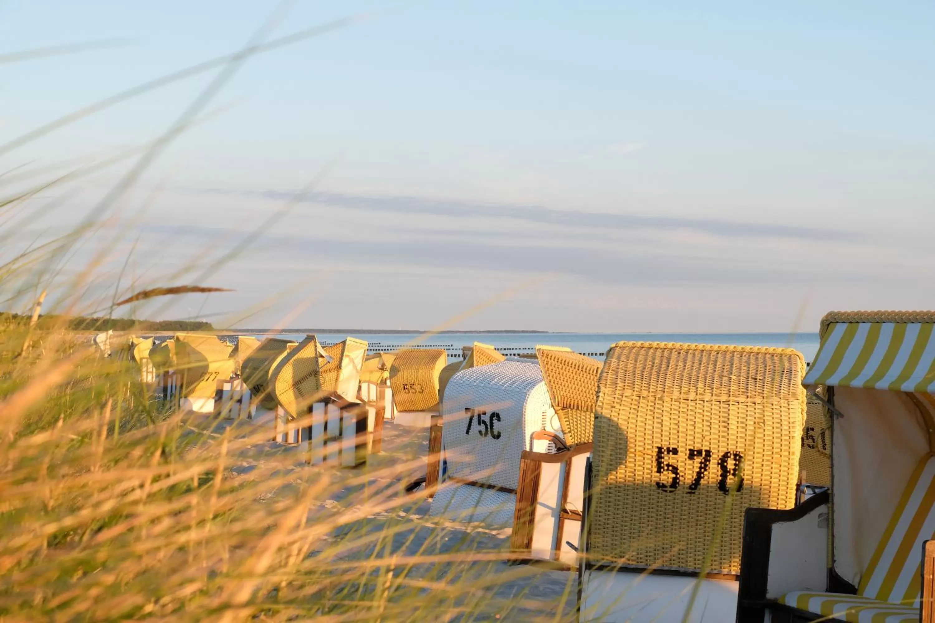 Beach in Hotel Meerlust