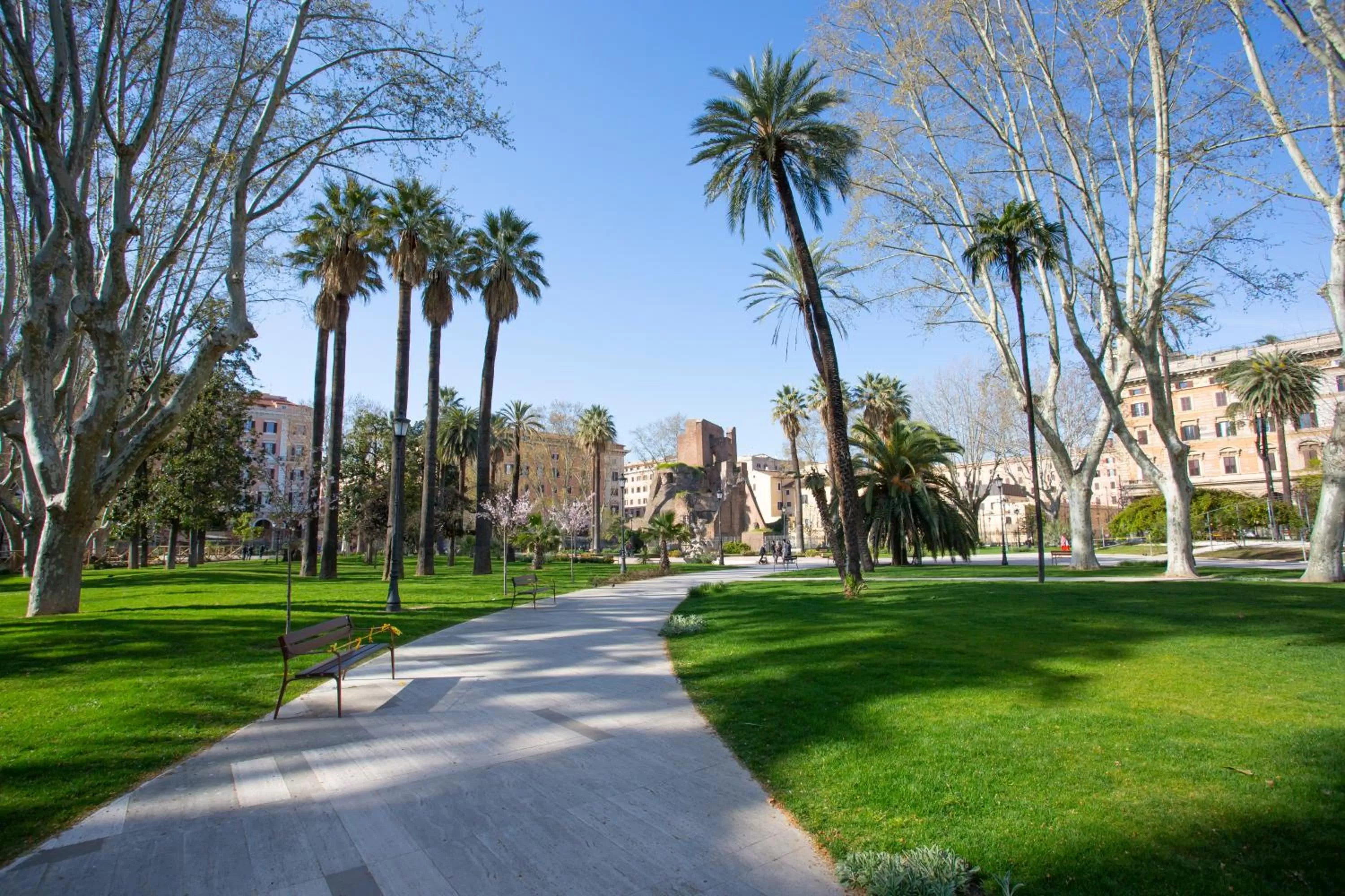 Garden in Hotel Napoleon