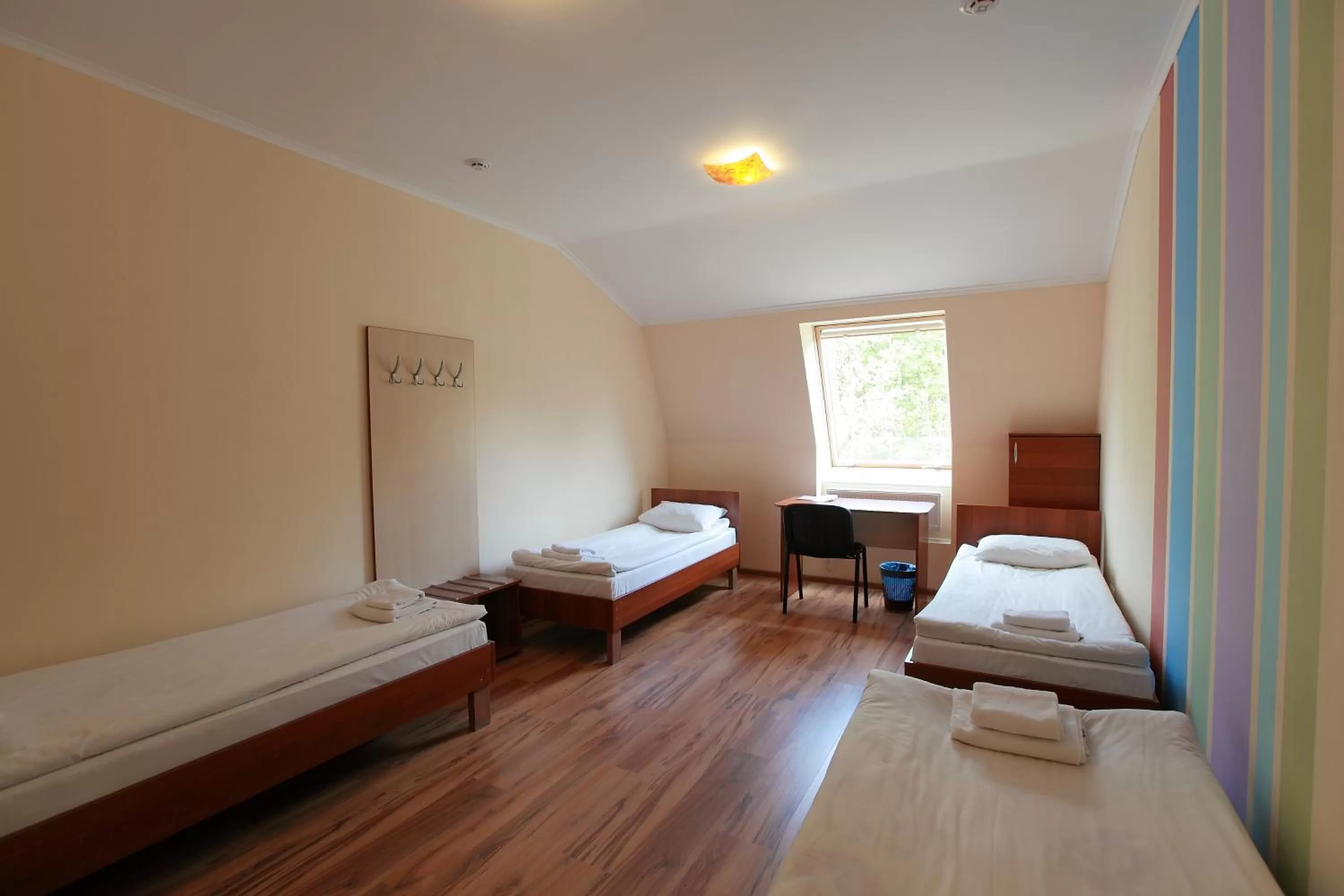 Photo of the whole room, Bed in Budget Hotel Ekotel