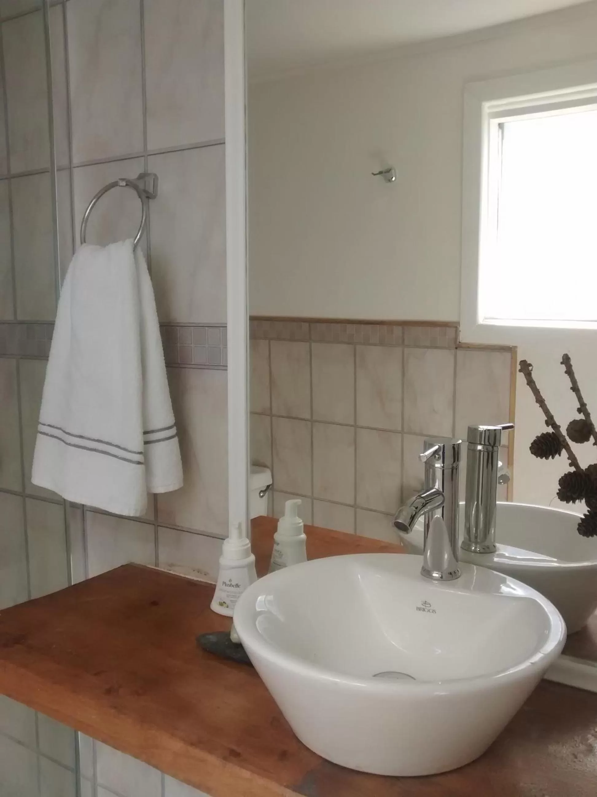 Bathroom in Xalpen B&B