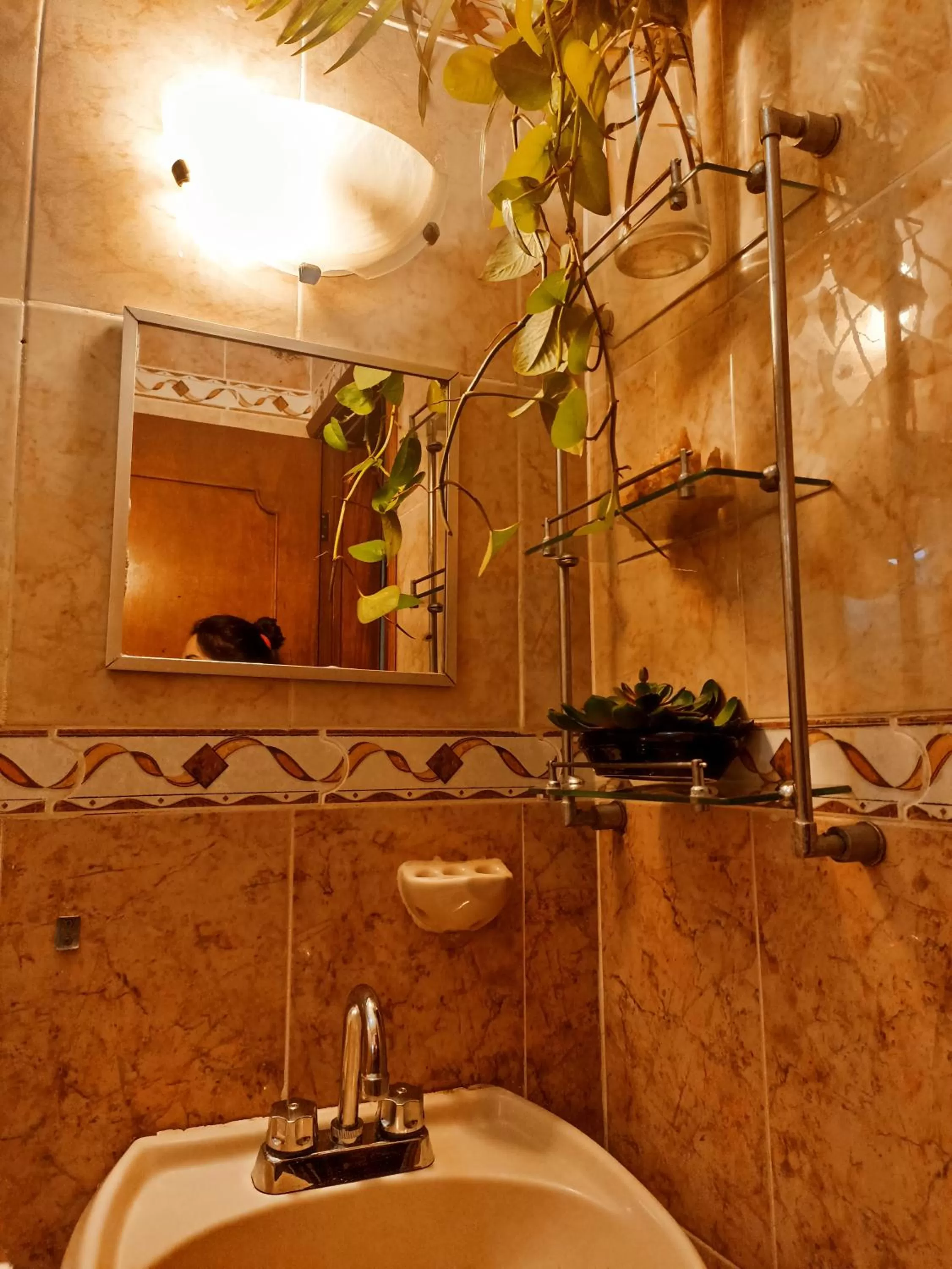 Casa De Los Pájaros - B&B