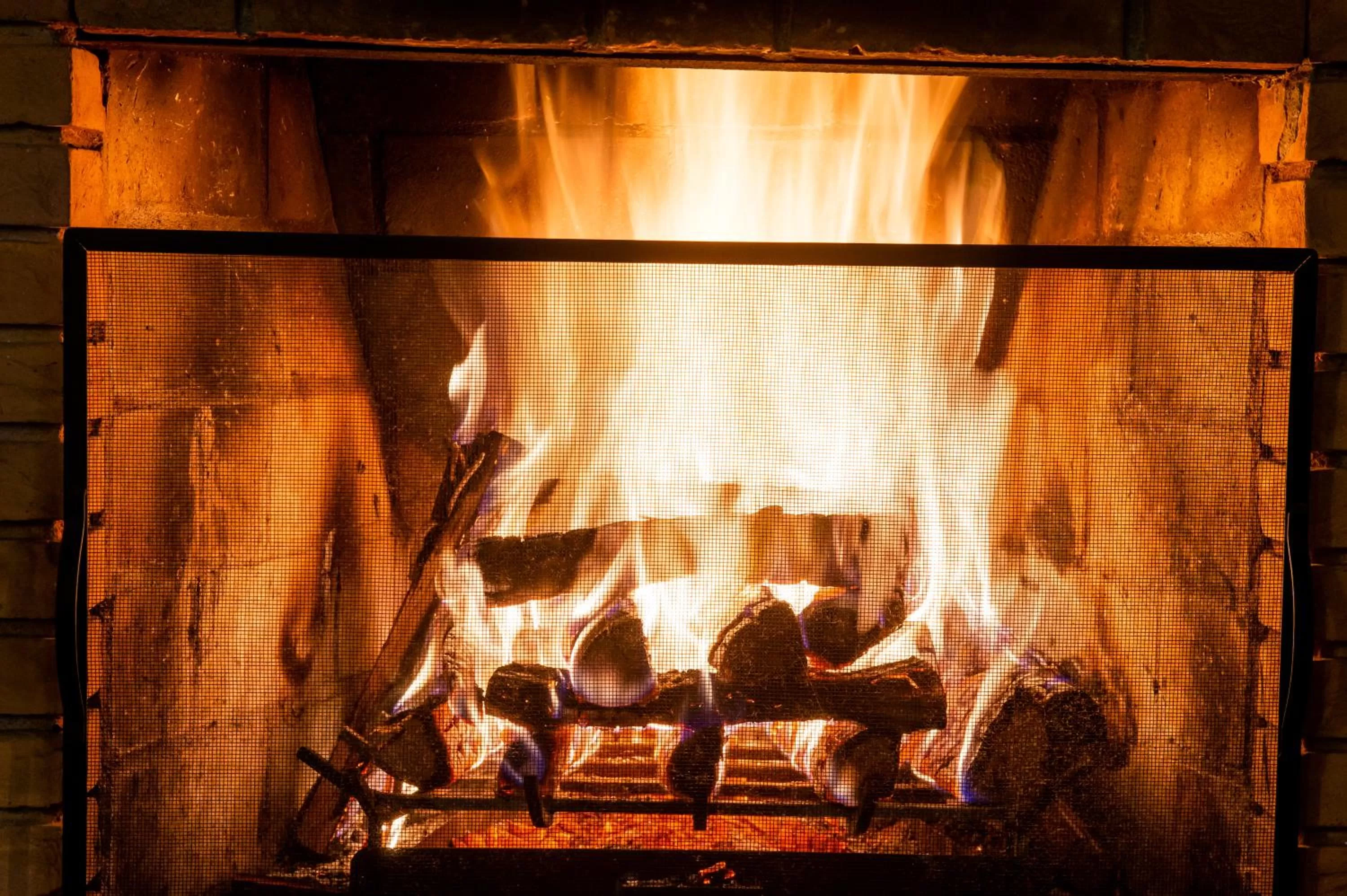 Garden in Pousada das Lavandas