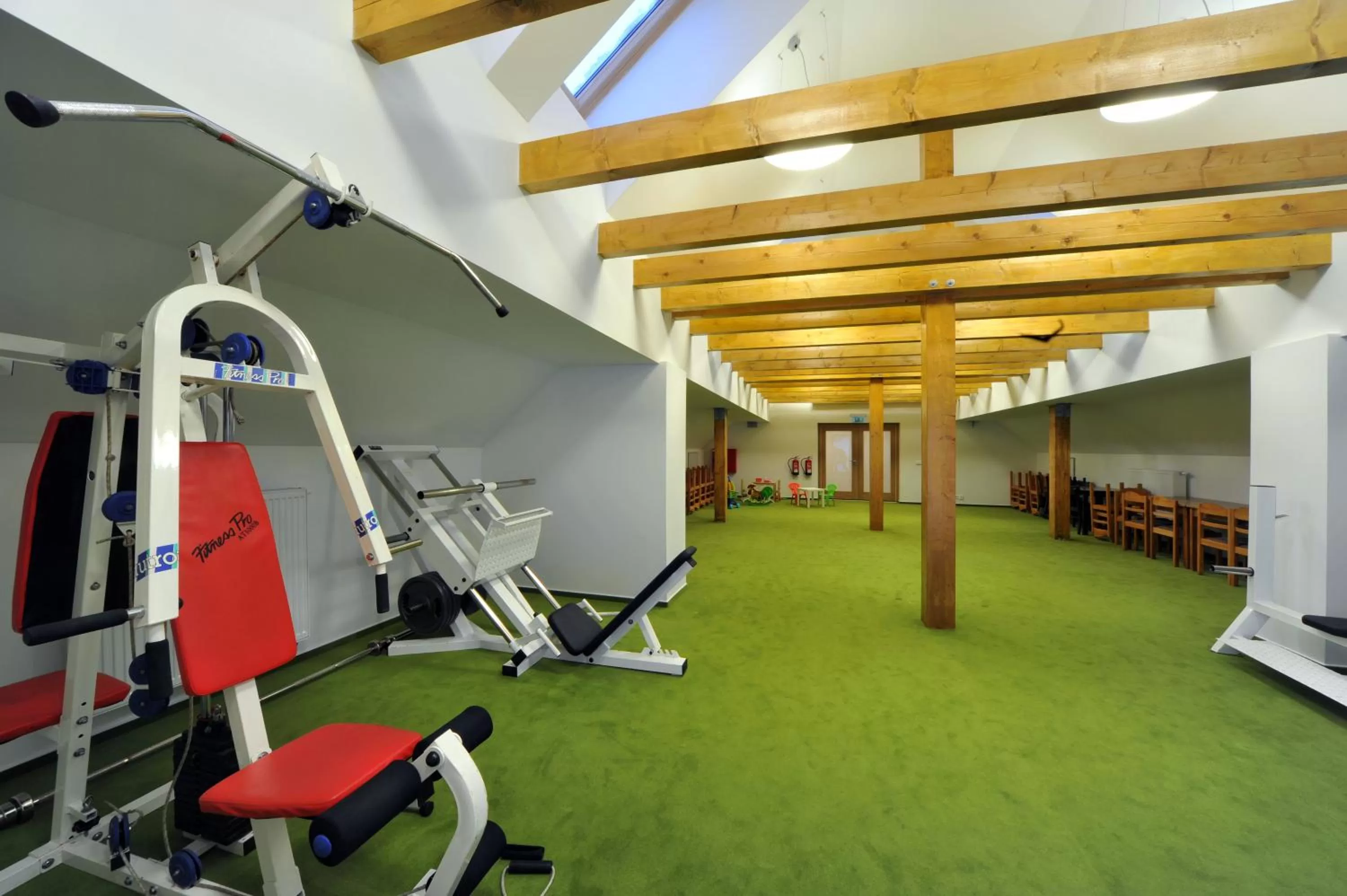 Fitness centre/facilities in Penzion Andula Friesovy boudy